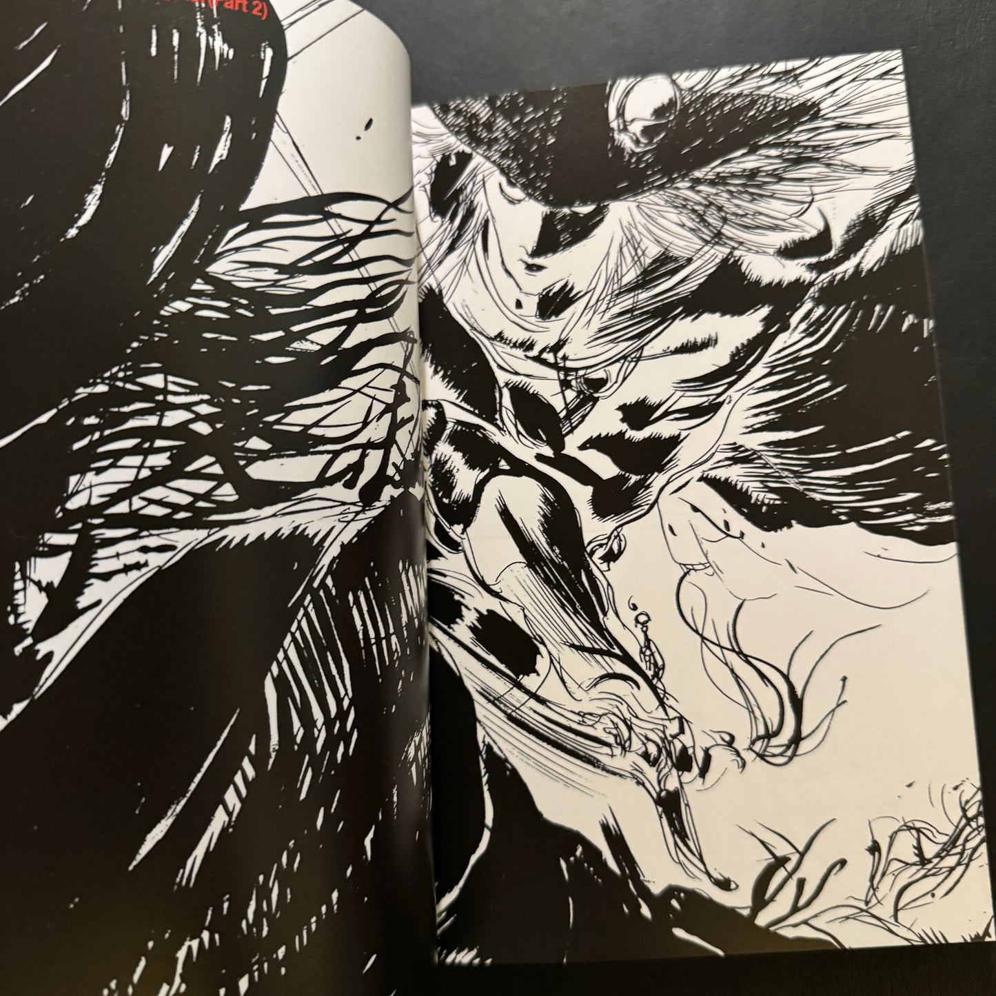 VAMPIRE HUNTER D