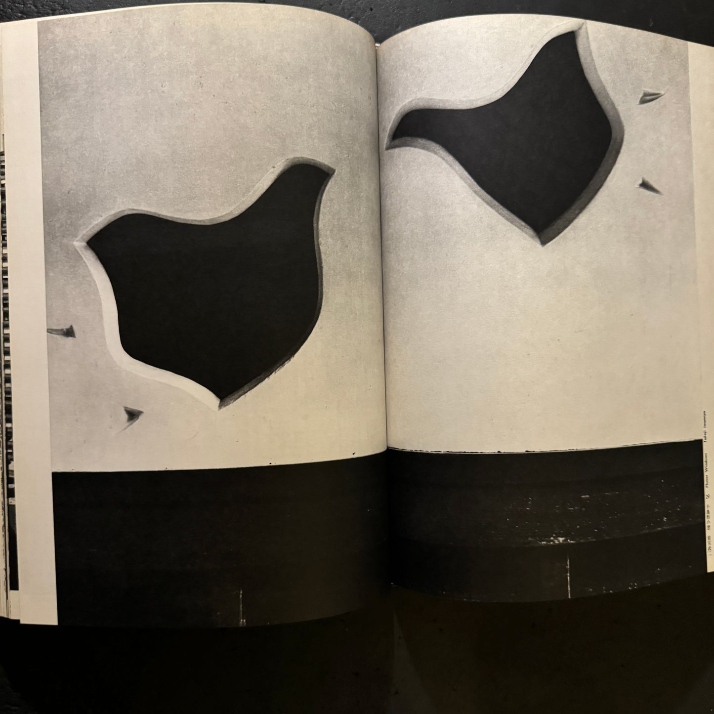ASAHI CAMERA ANNUAL 1967