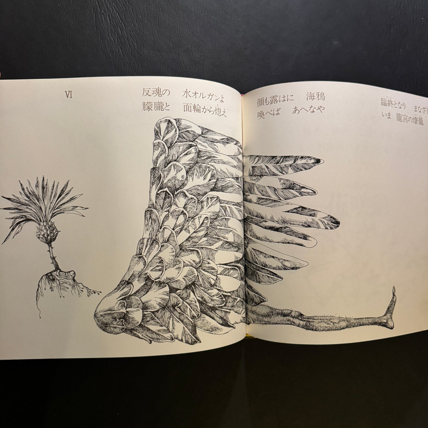 FOLKTALE GRAPHIC