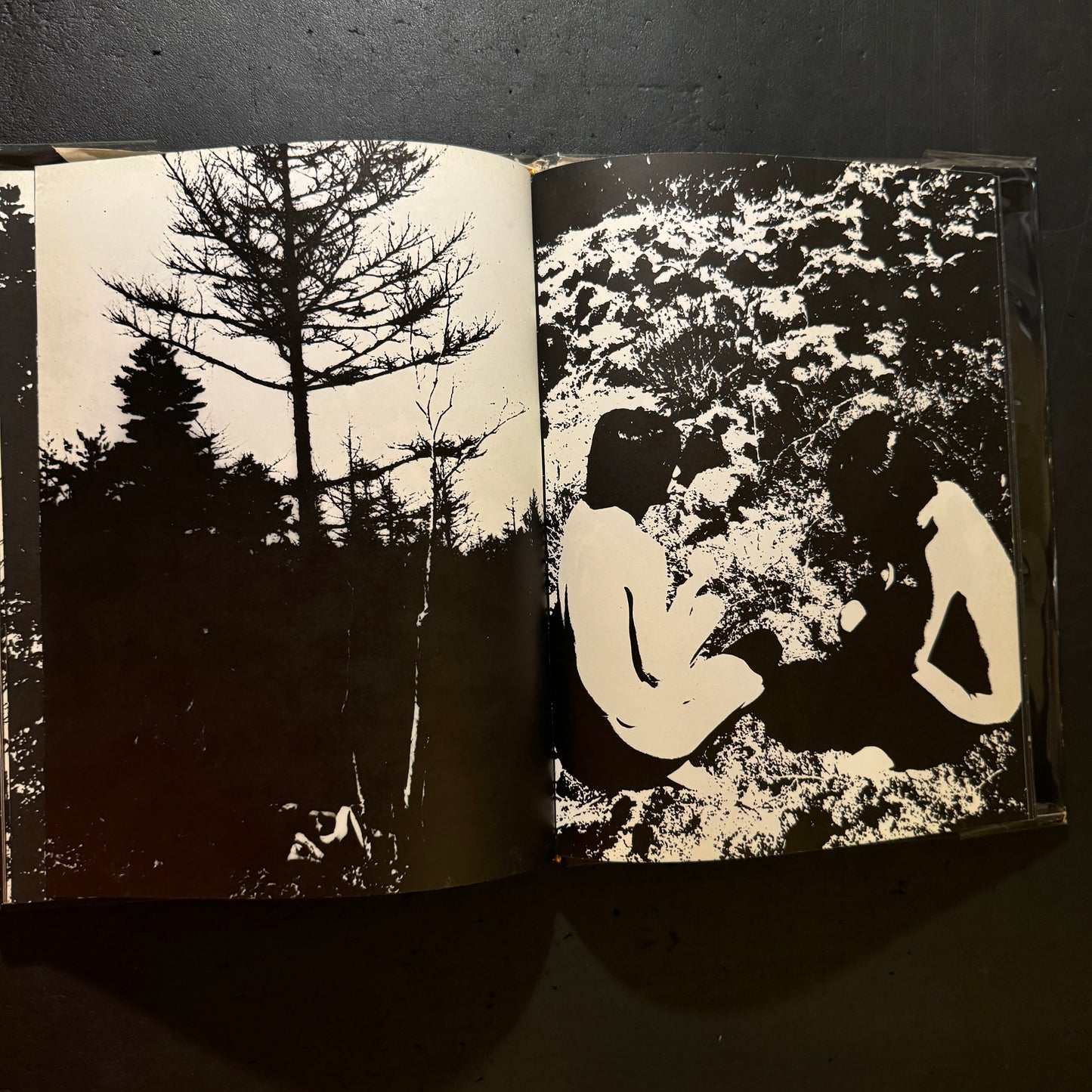Adam and Eve