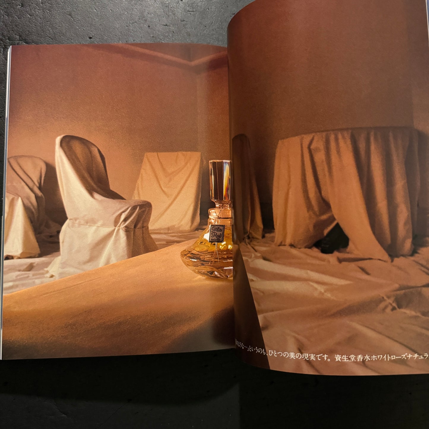 ALTERNATIVE ADVERTISING FOR SHISEIDO WORKS OF KAZUHIKO OTA
