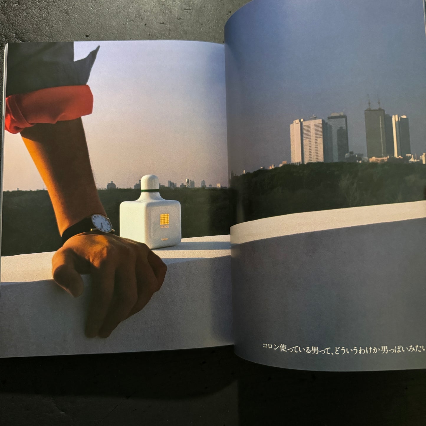 ALTERNATIVE ADVERTISING FOR SHISEIDO WORKS OF KAZUHIKO OTA