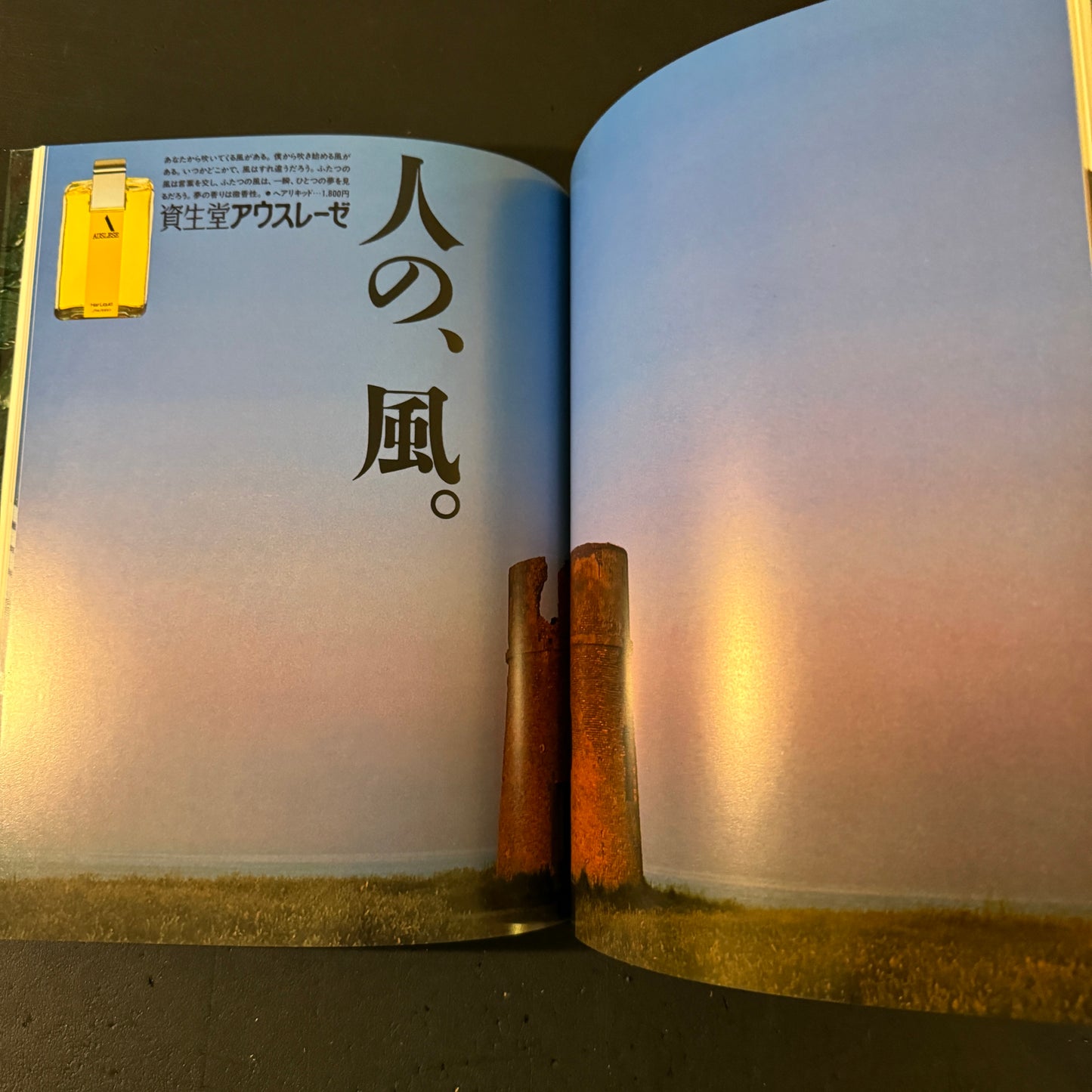 ALTERNATIVE ADVERTISING FOR SHISEIDO WORKS OF KAZUHIKO OTA