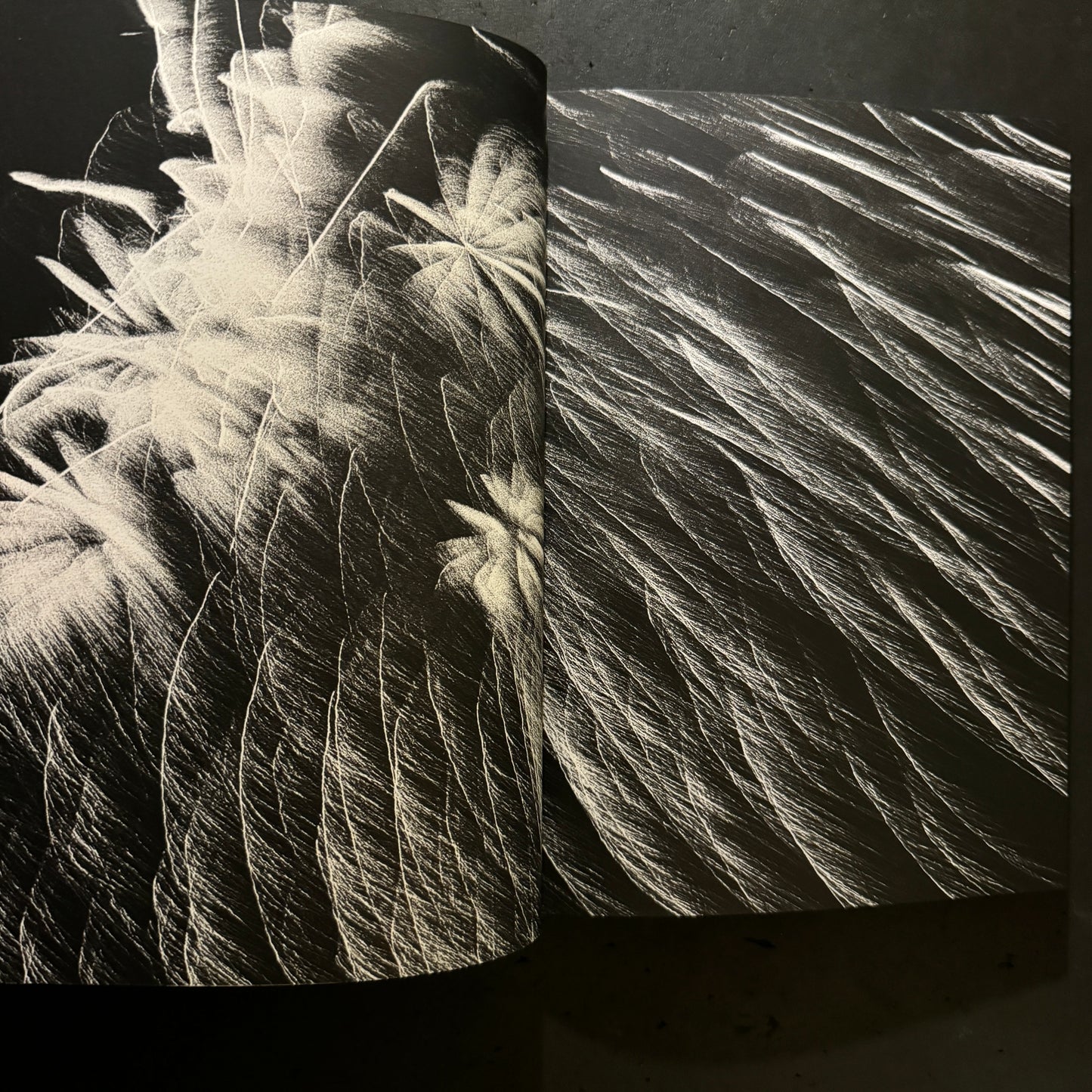 DAIDO SILK singed