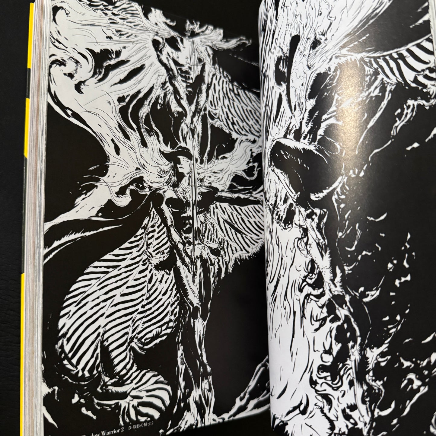VAMPIRE HUNTER D
