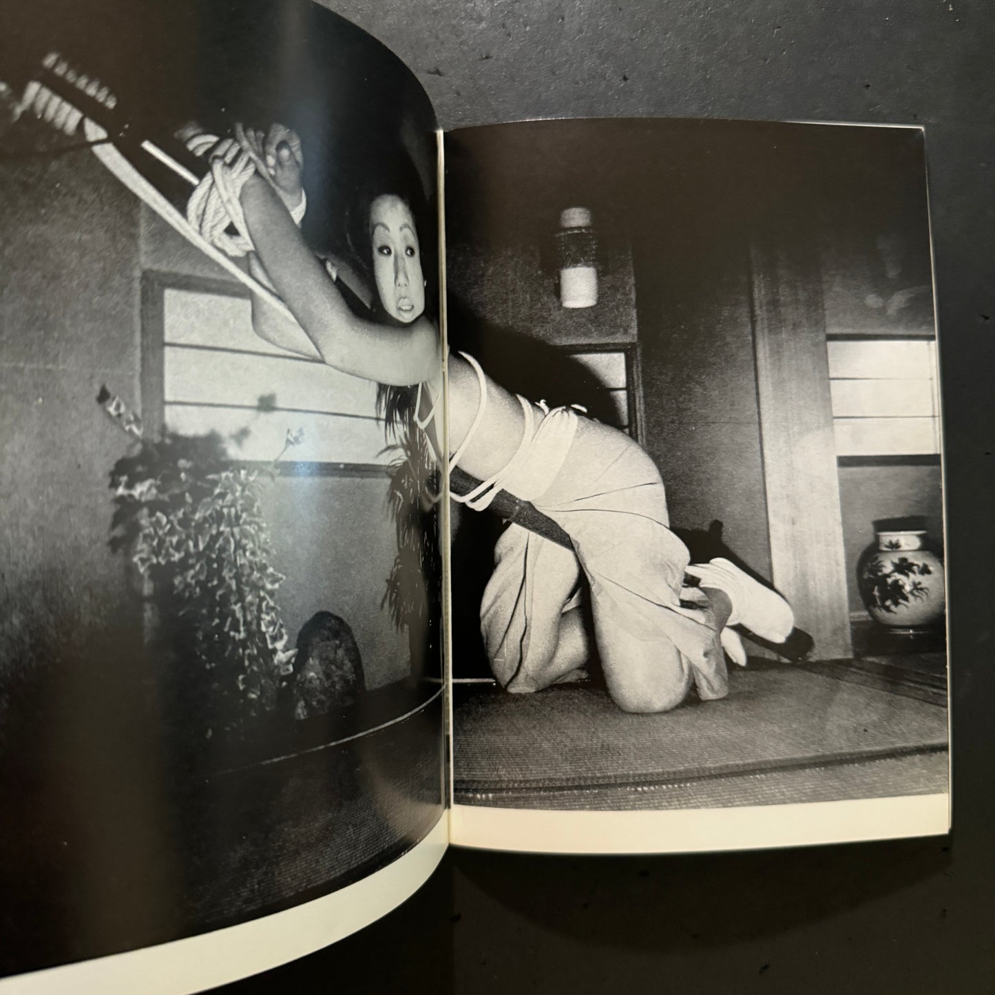 Kinbaku Photography 3