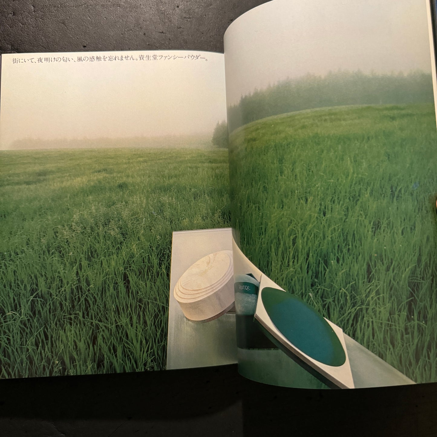 ALTERNATIVE ADVERTISING FOR SHISEIDO WORKS OF KAZUHIKO OTA