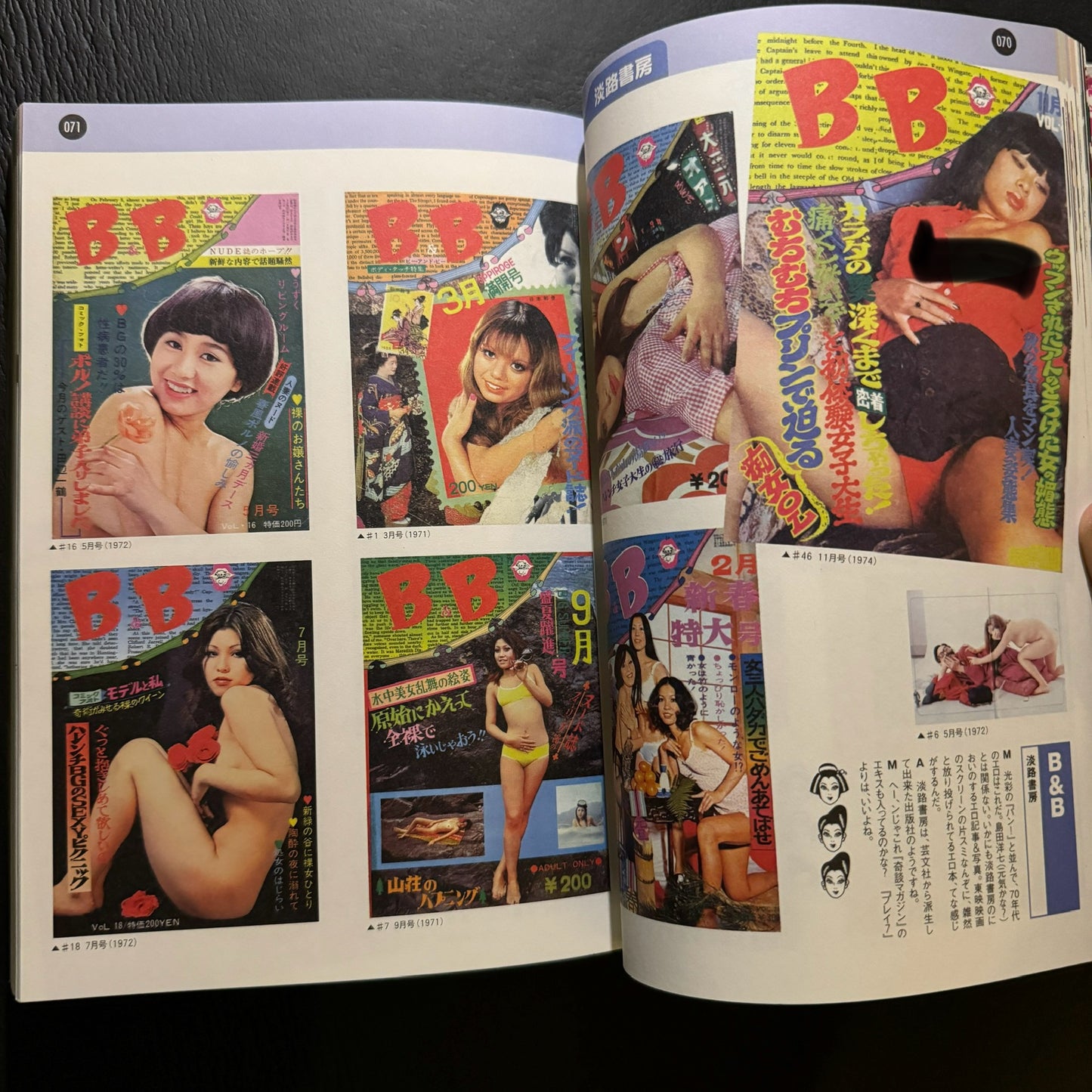 Encyclopedia of sexy magazines
