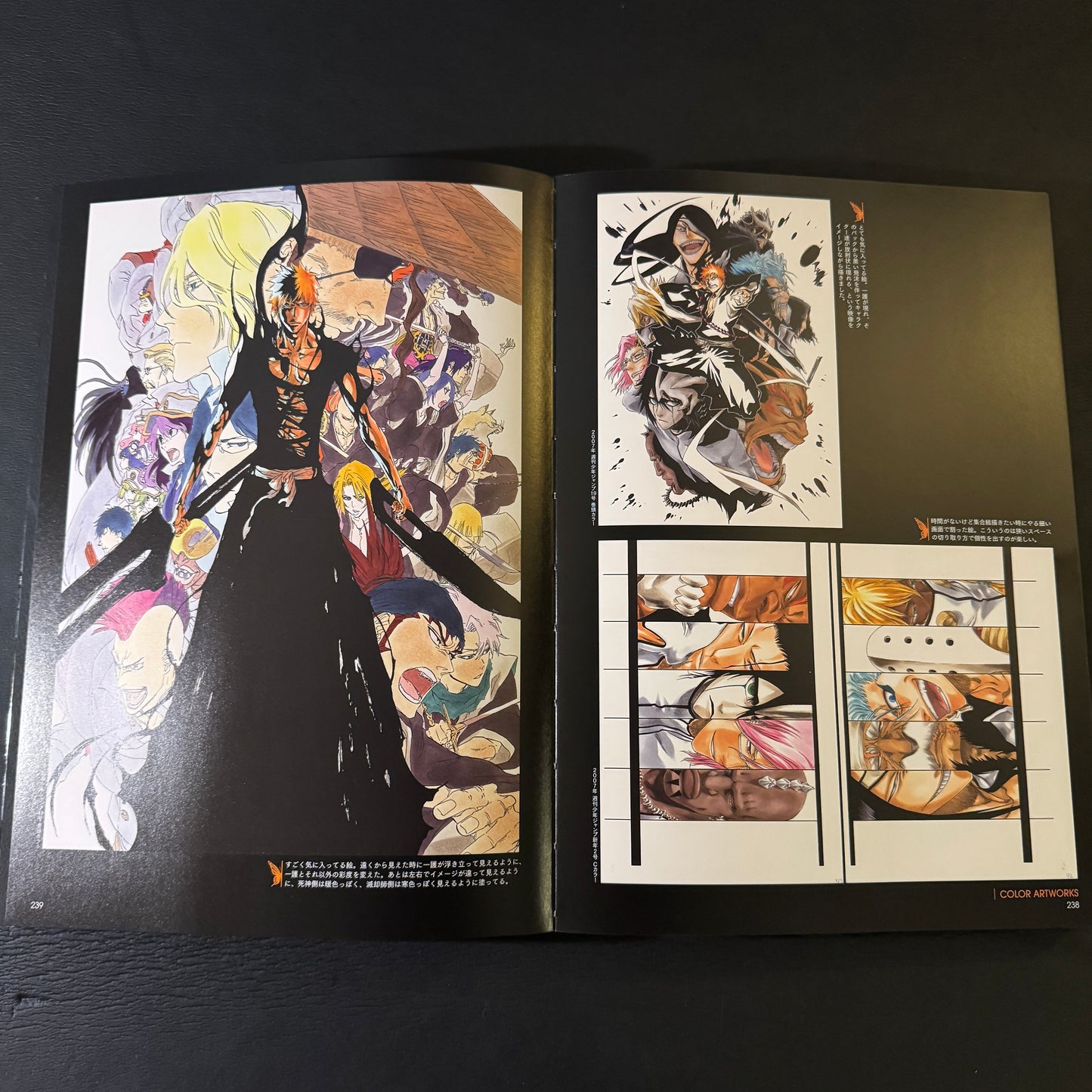 BLEACH EX. THE BLACK BROCHURE
