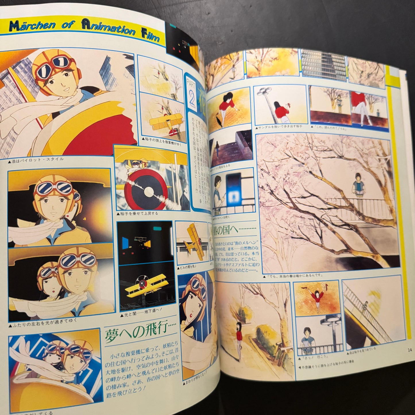 RADIO CITY FANTASY Mook book