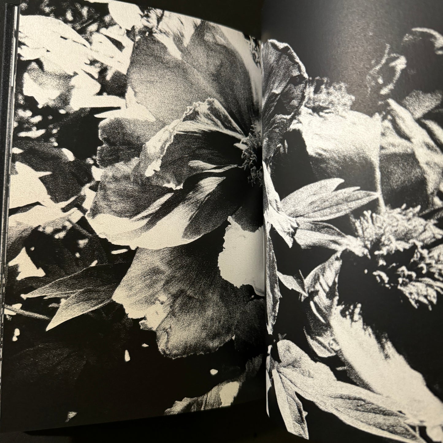 DAIDO SILK singed