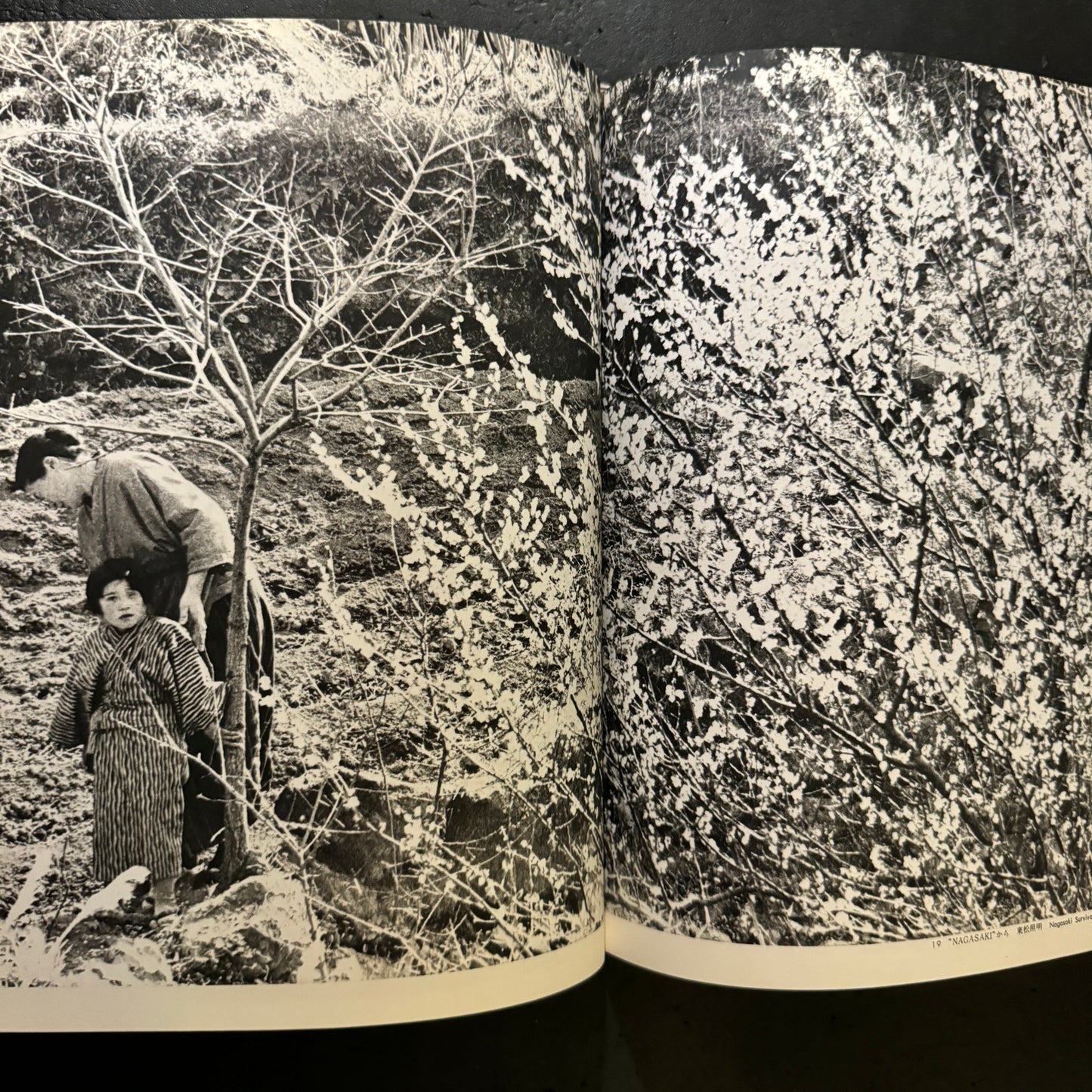 ASAHI CAMERA ANNUAL 1967