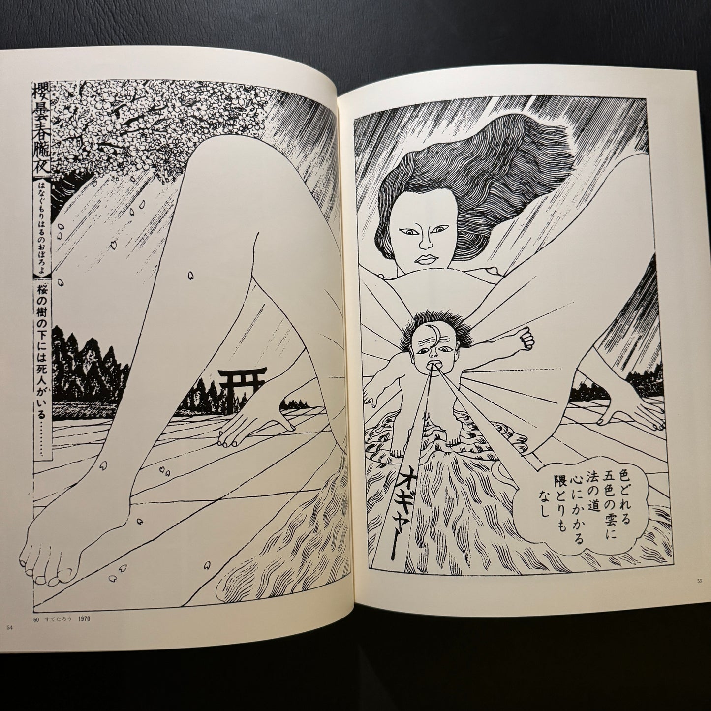 Kiyoshi Awazu Artworks Box set