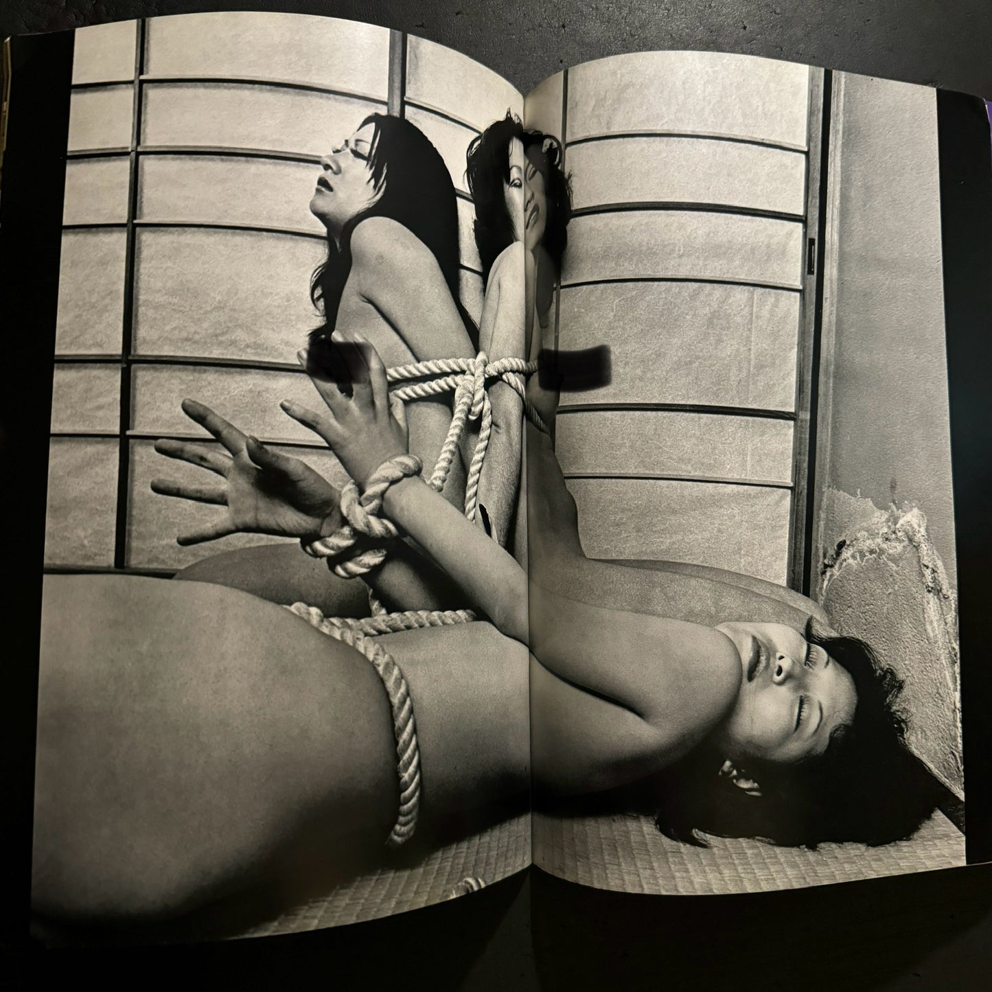 Sadistic Ecstasy