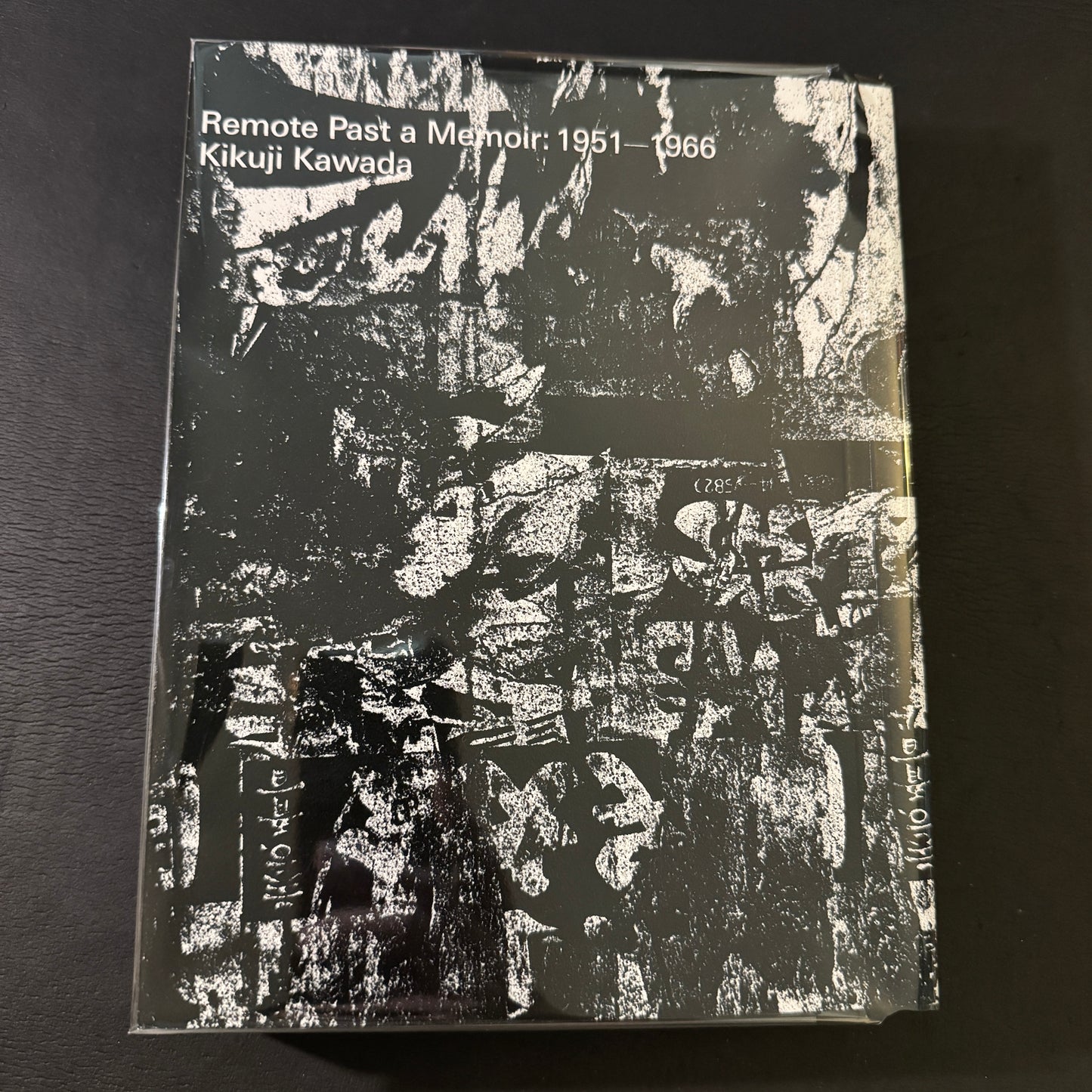 Remote Past a Memoir : 1951-1996