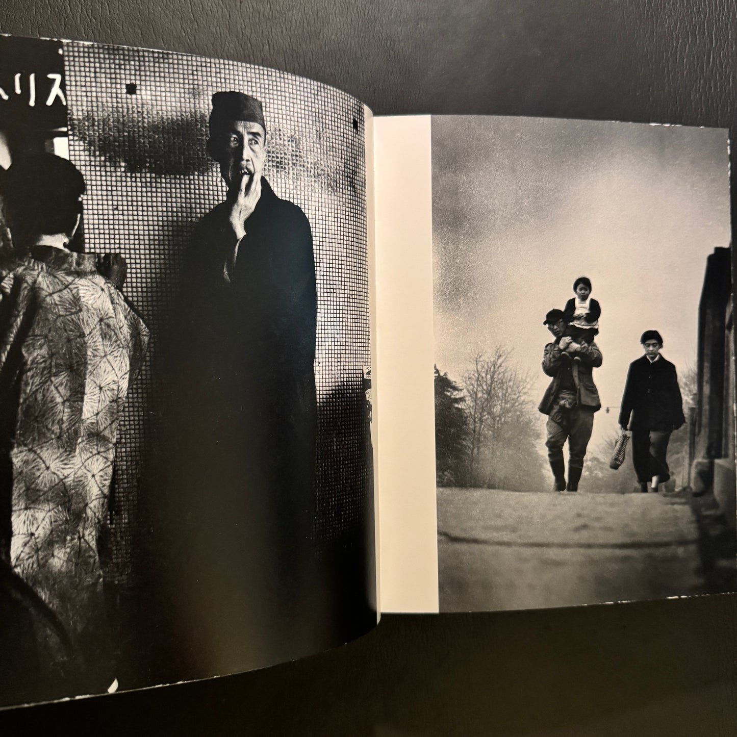 Remote Past a Memoir : 1951-1996