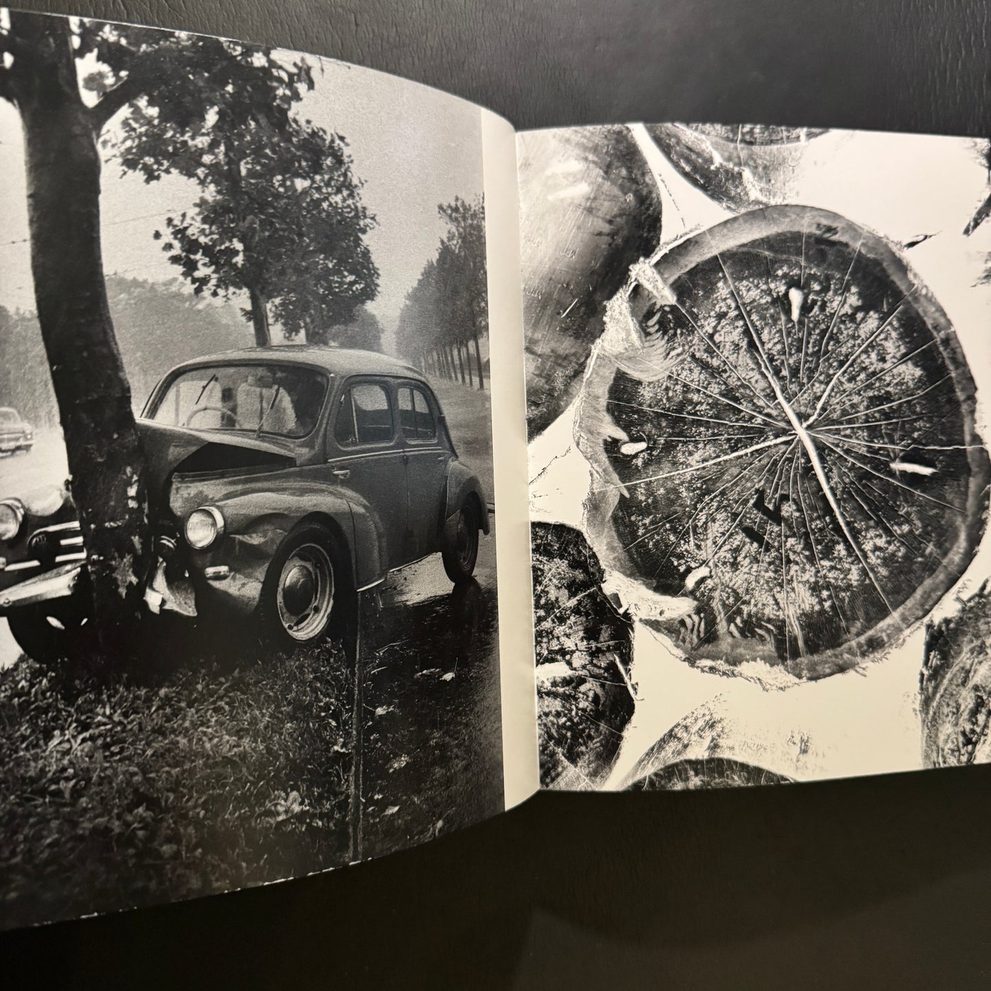 Remote Past a Memoir : 1951-1996