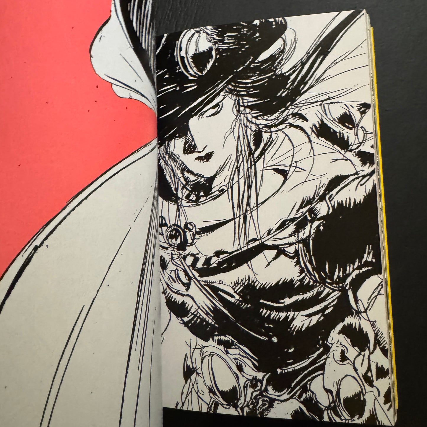 VAMPIRE HUNTER D