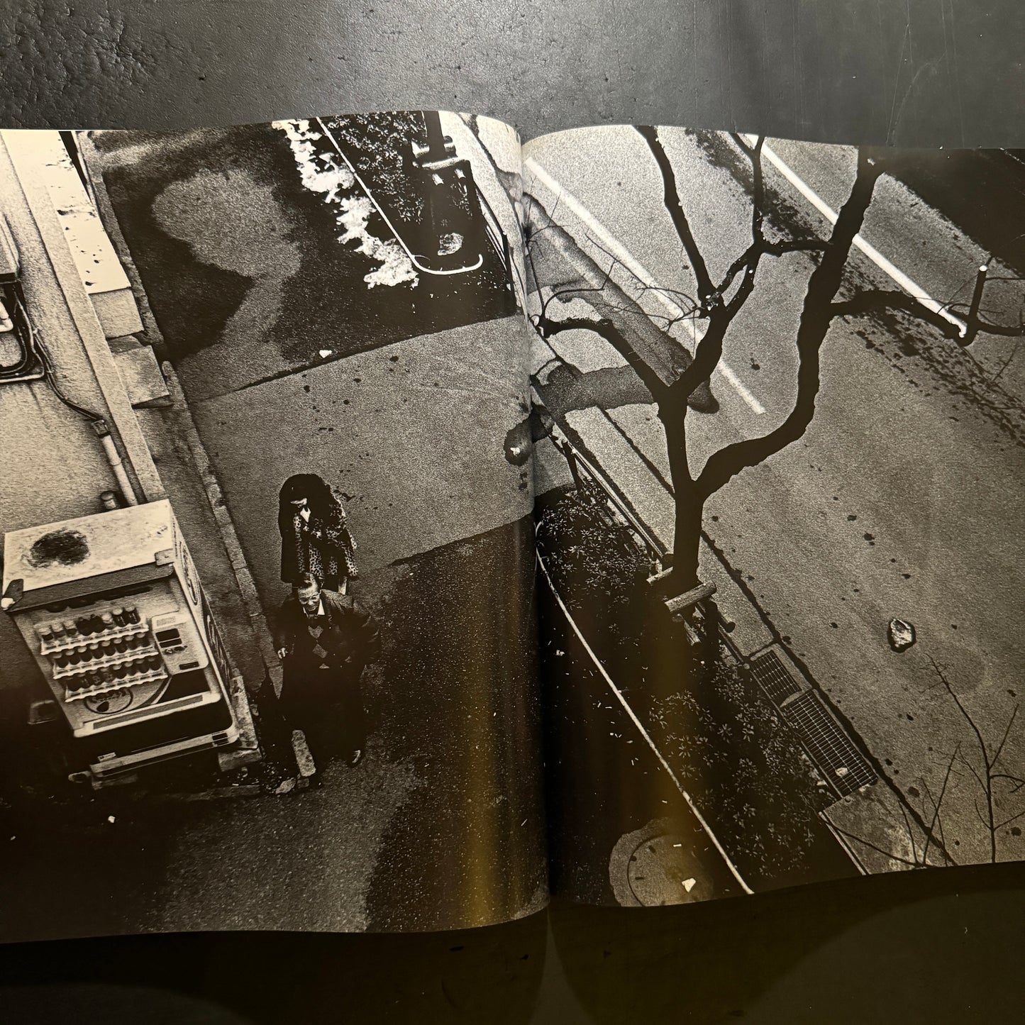 Daido hysteric no.6 1994