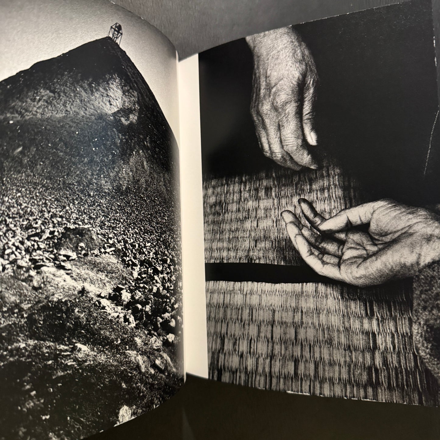 Remote Past a Memoir : 1951-1996