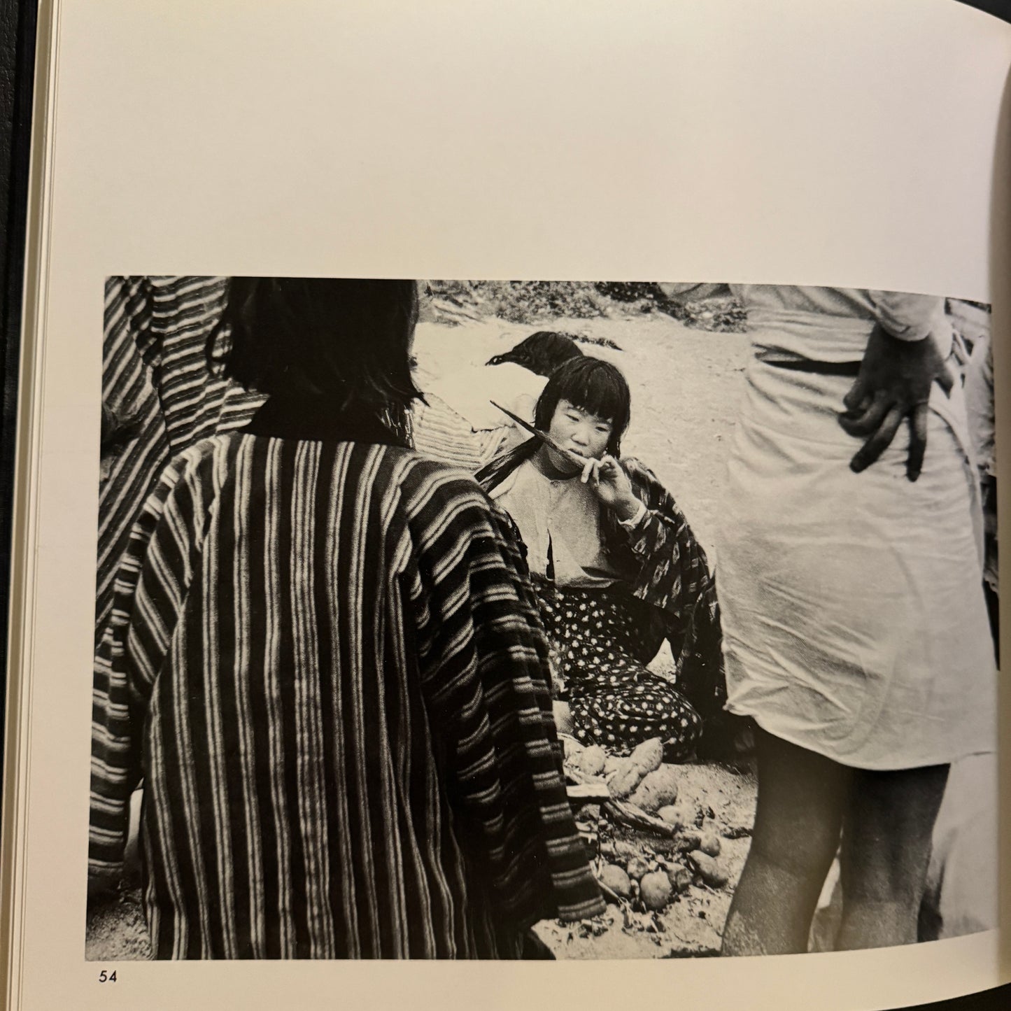 SHIMA FUDOKI ( signed )