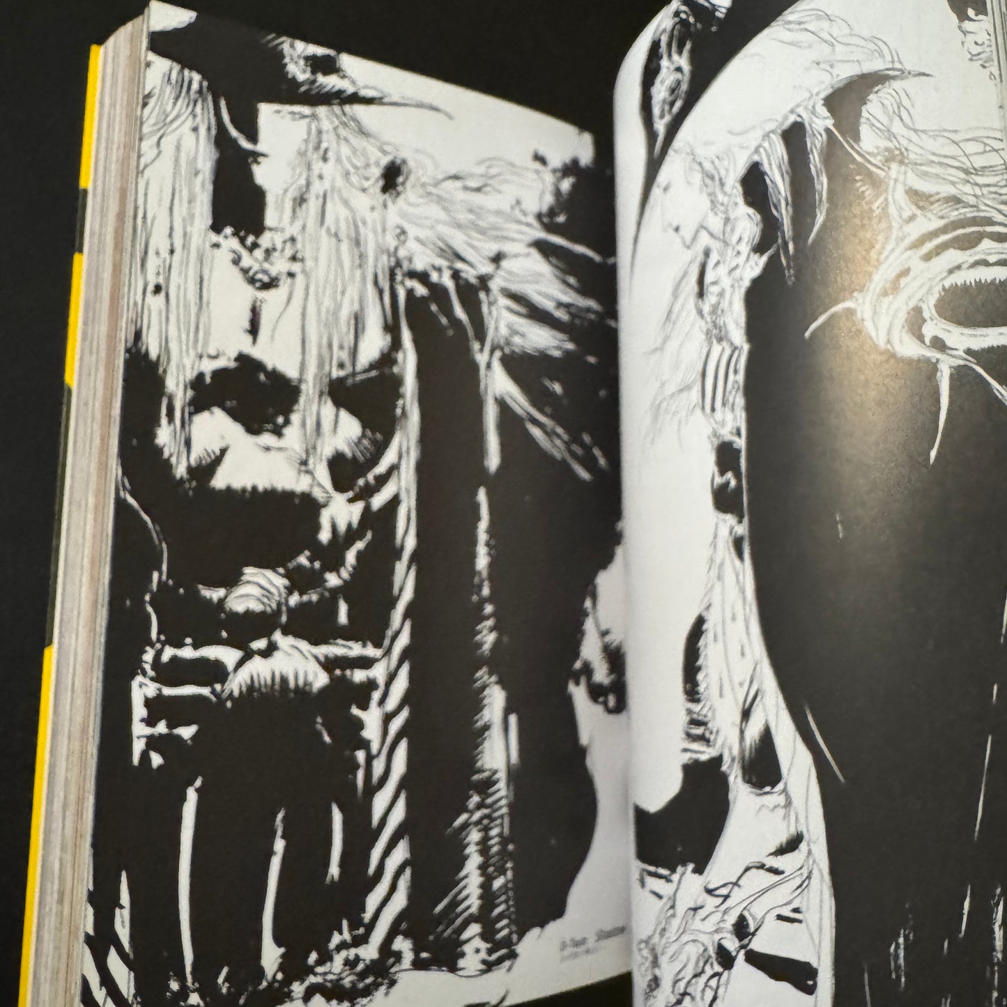 VAMPIRE HUNTER D
