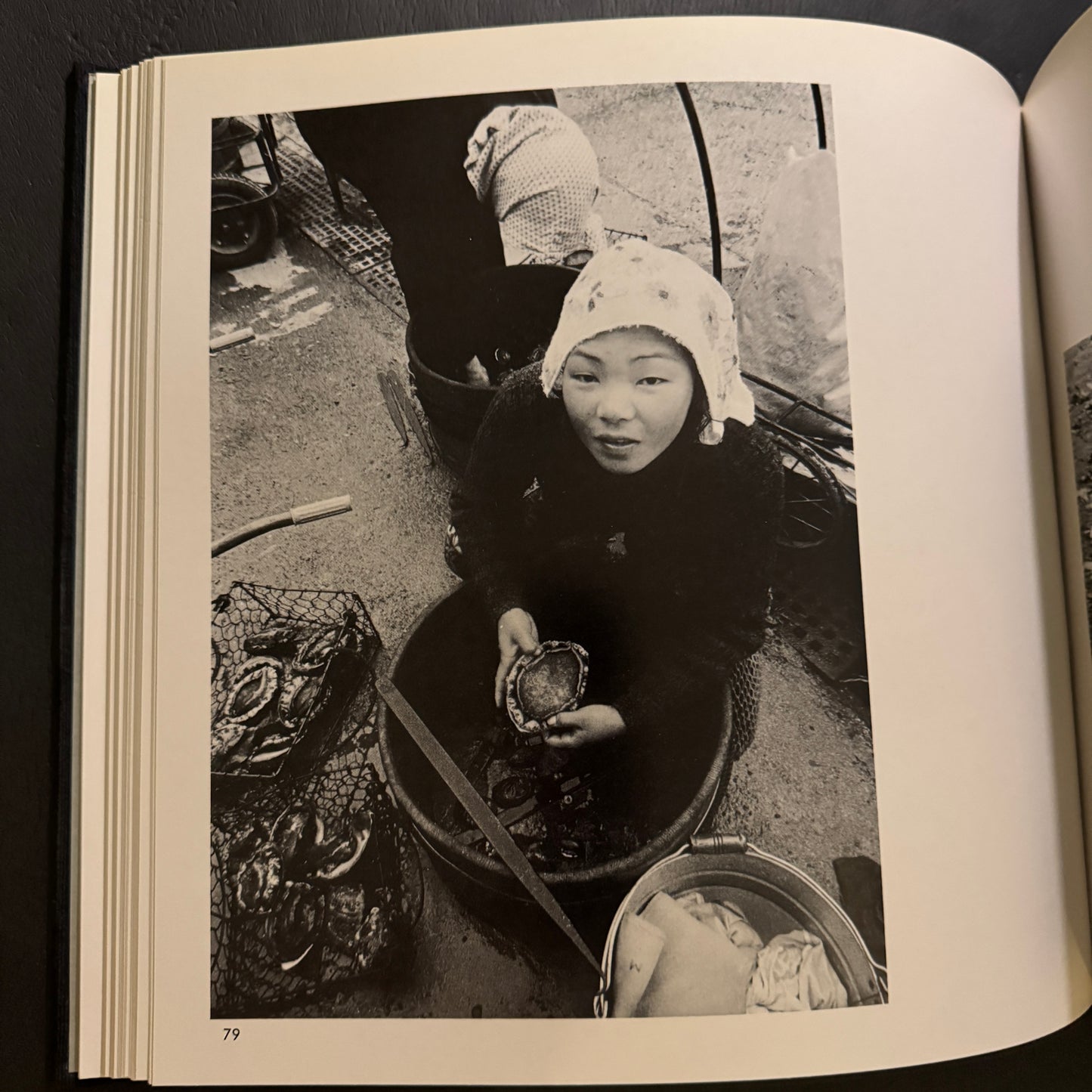 SHIMA FUDOKI ( signed )