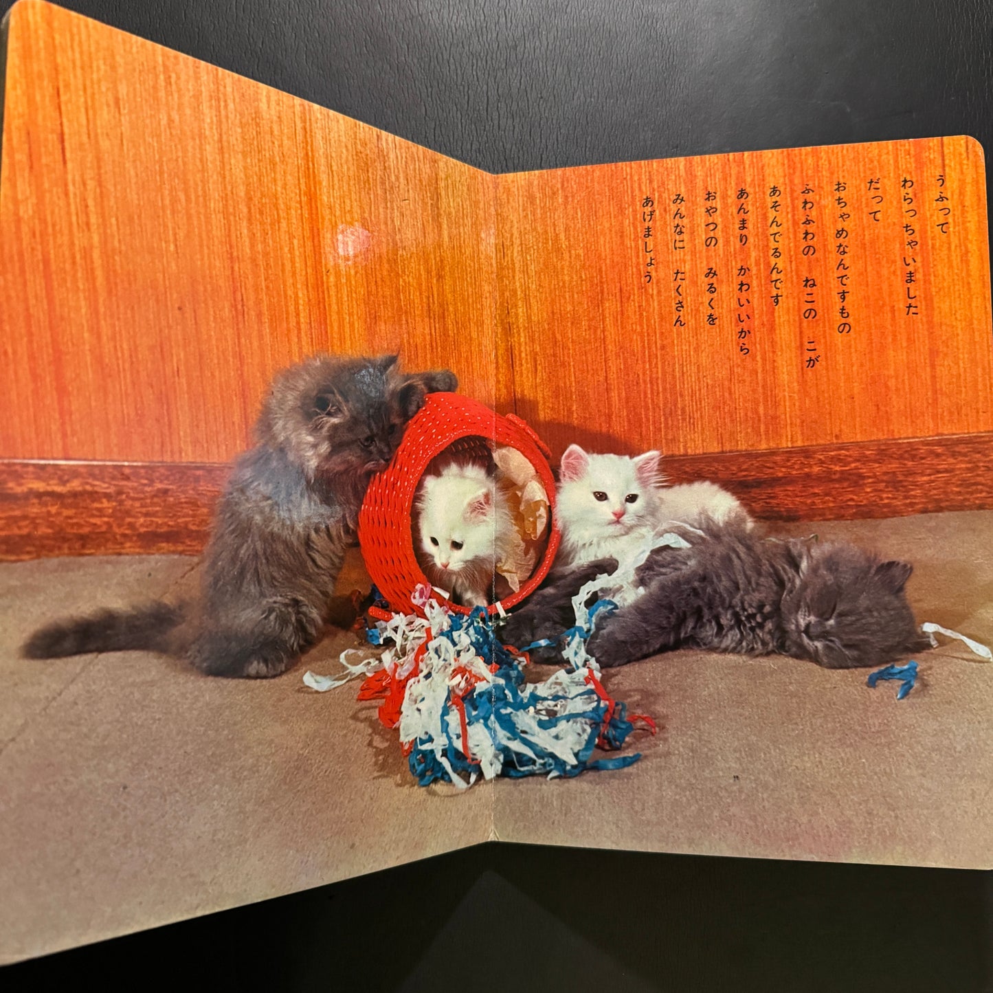 Cutie Cats