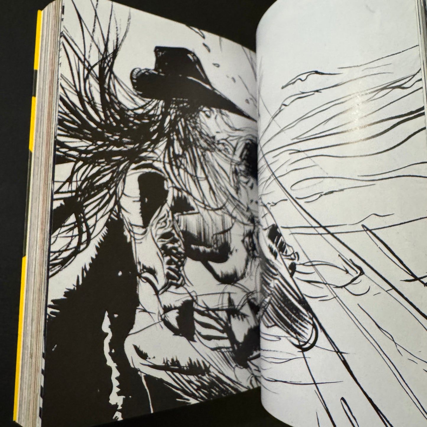 VAMPIRE HUNTER D