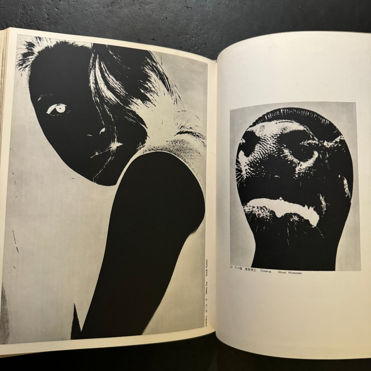 ASAHI CAMERA ANNUAL 1967