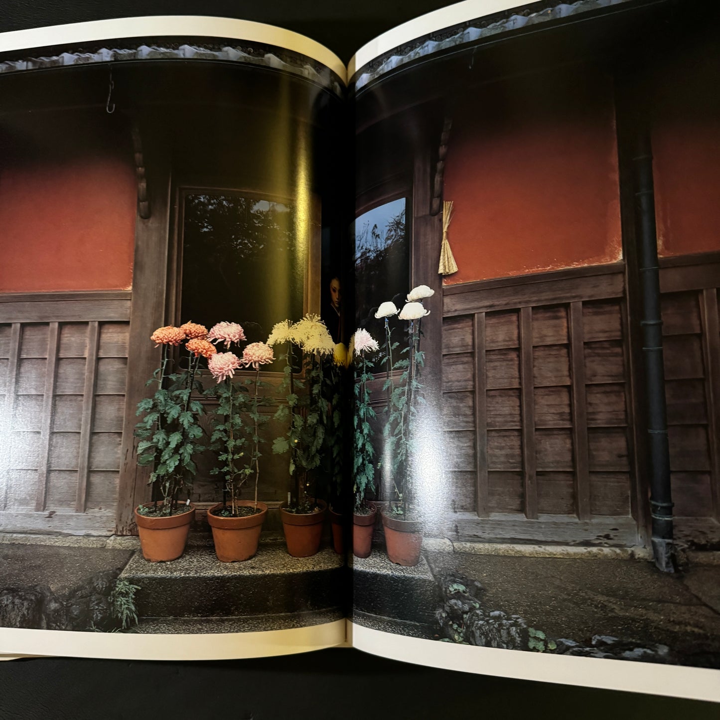 HANAKESHI(The Air of Blossoming Spring)