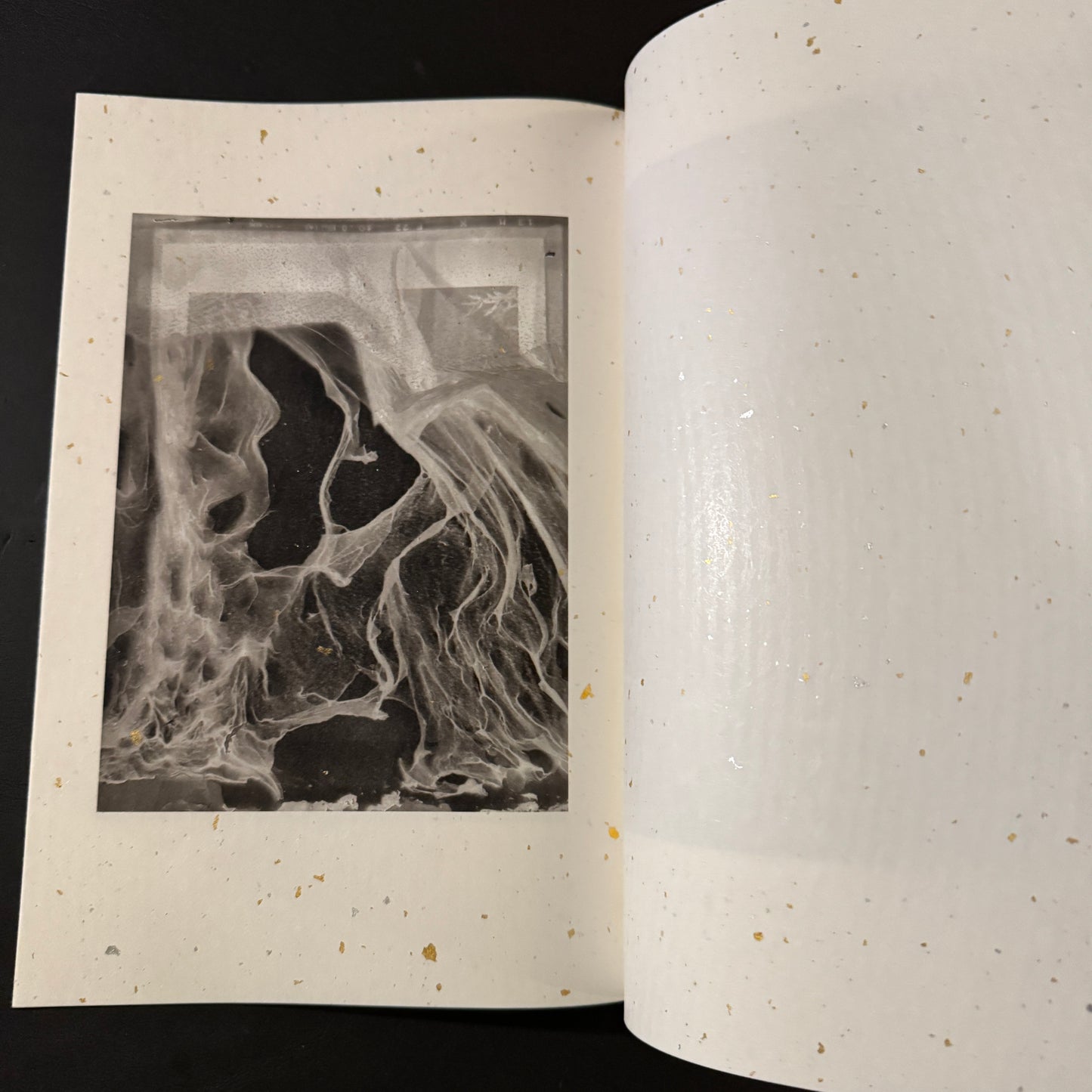FOUR / Matter Print House Session 2019