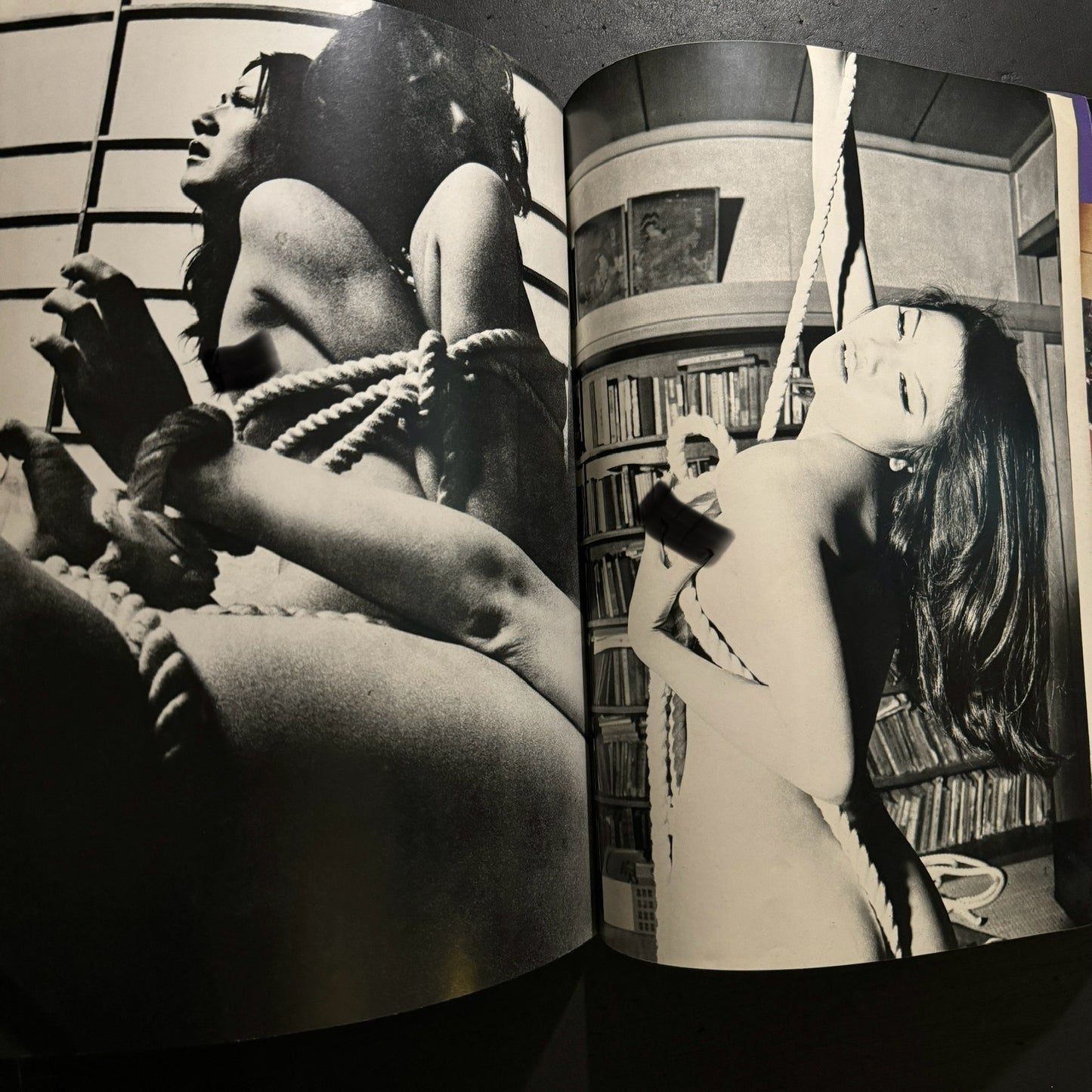 Sadistic Ecstasy