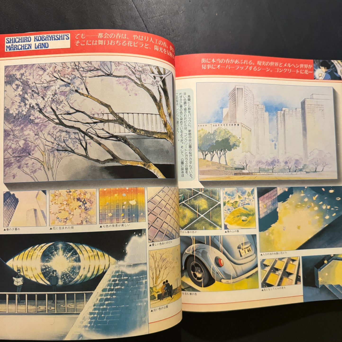 RADIO CITY FANTASY Mook book