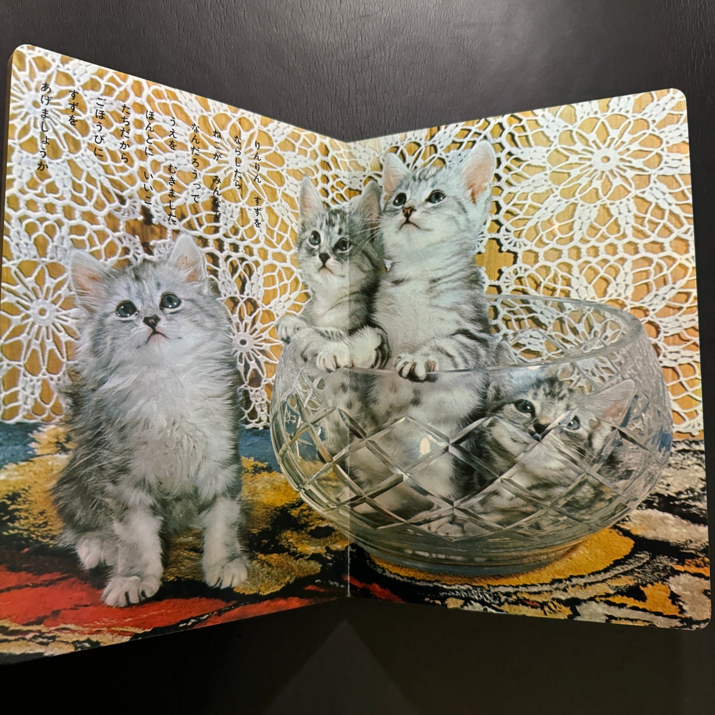Cutie Cats