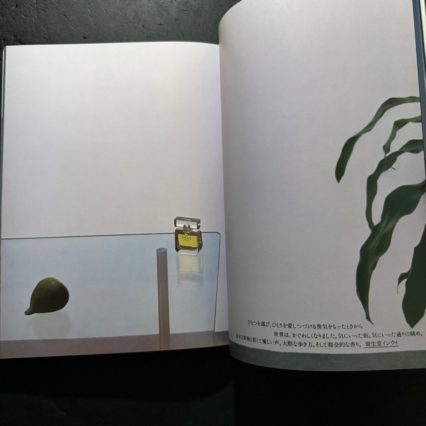 ALTERNATIVE ADVERTISING FOR SHISEIDO WORKS OF KAZUHIKO OTA