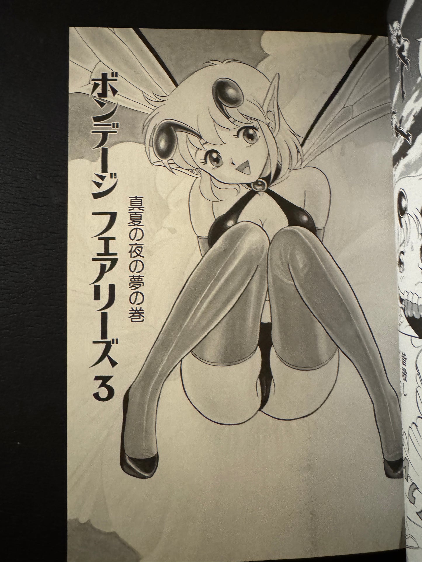 BONDAGE FAIRIES vol.3