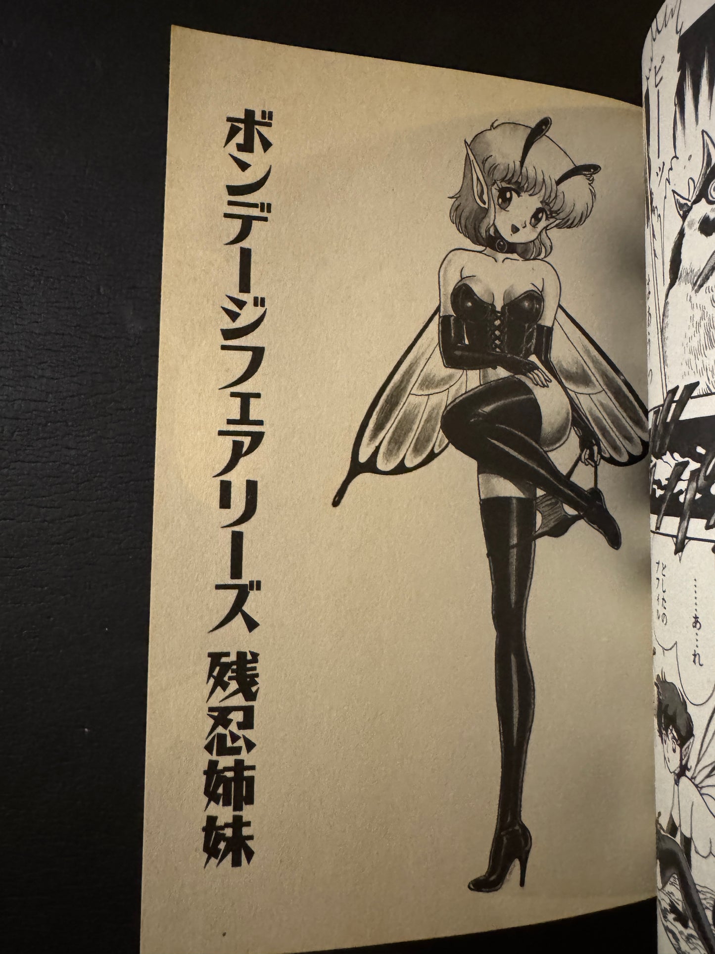 BONDAGE FAIRES