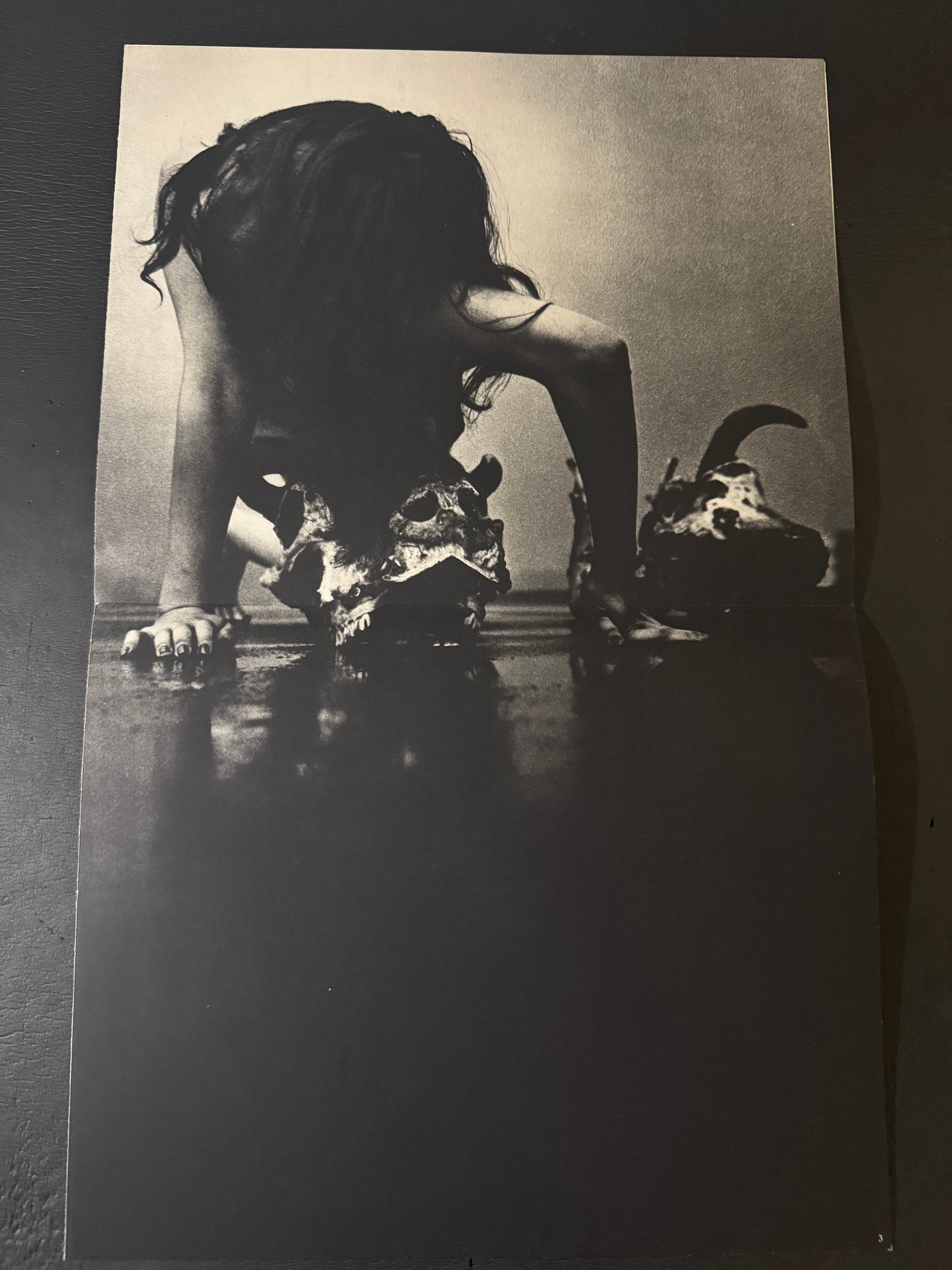 Beast love : The Third Venus