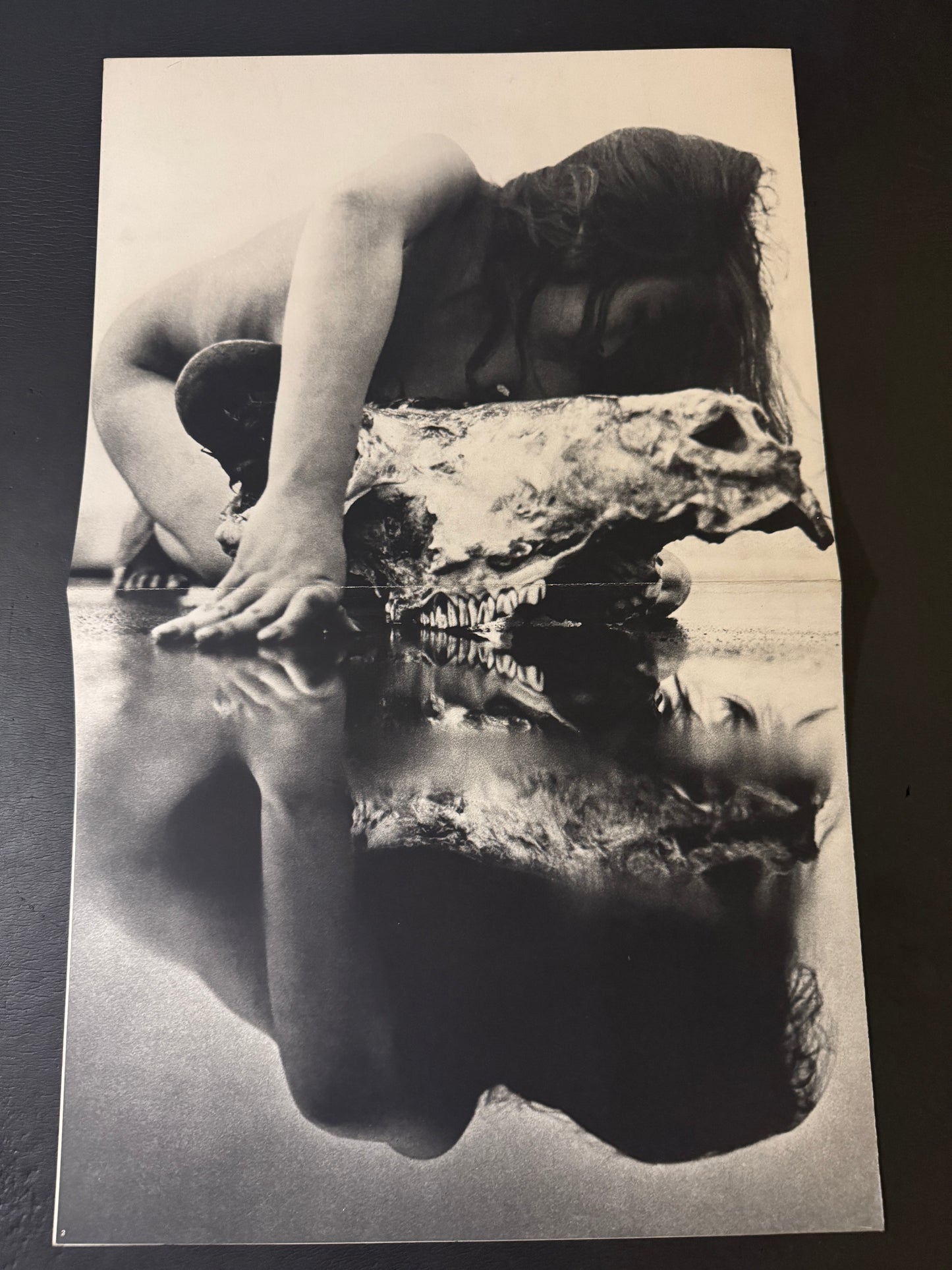 Beast love : The Third Venus