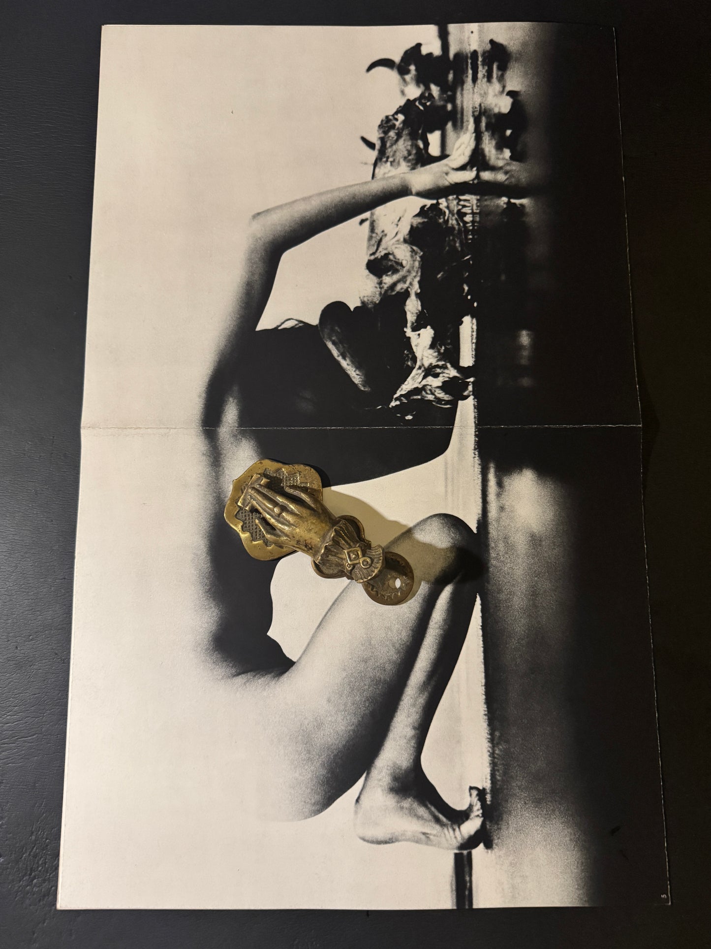 Beast love : The Third Venus