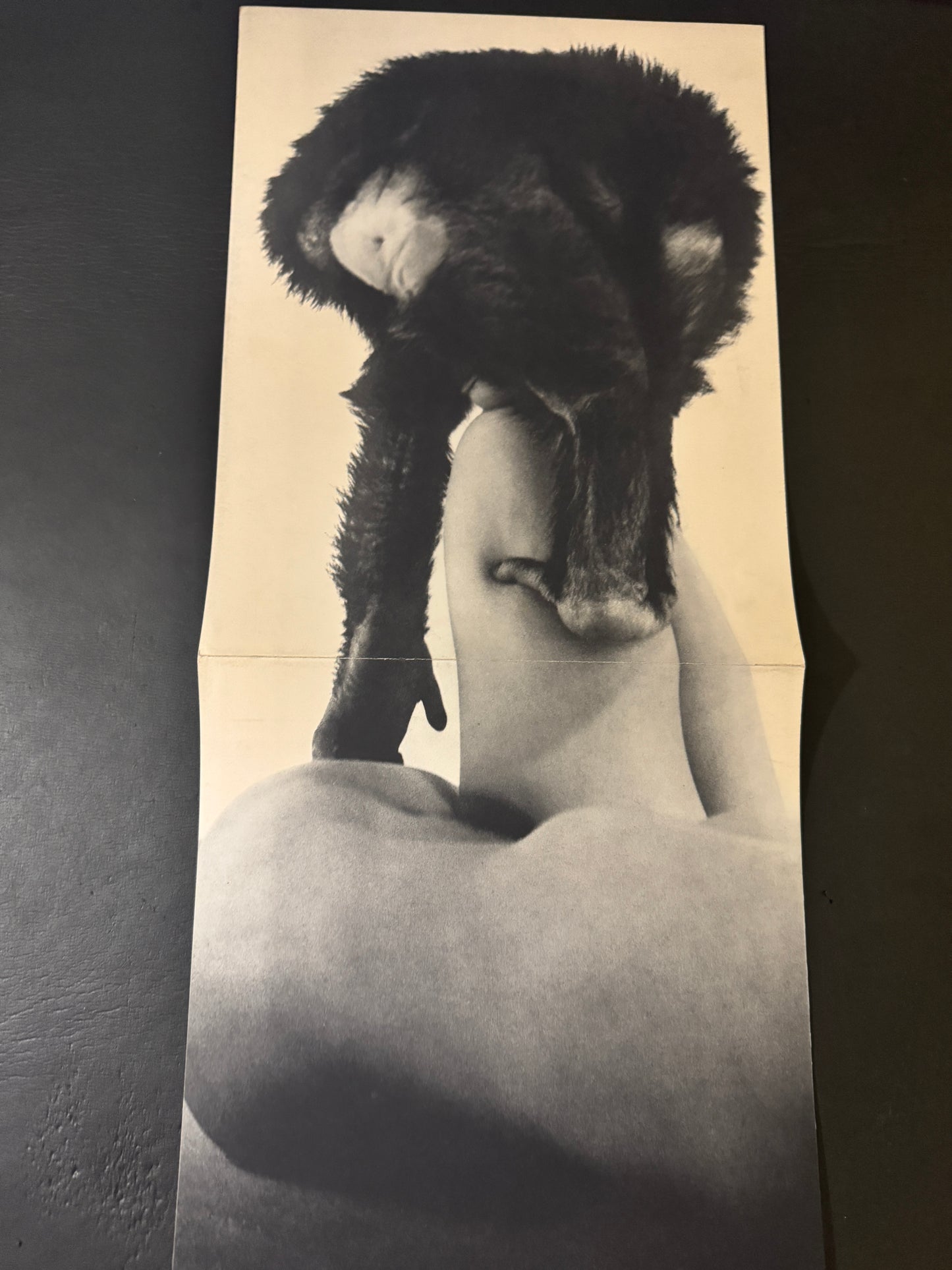 Beast love : The Third Venus