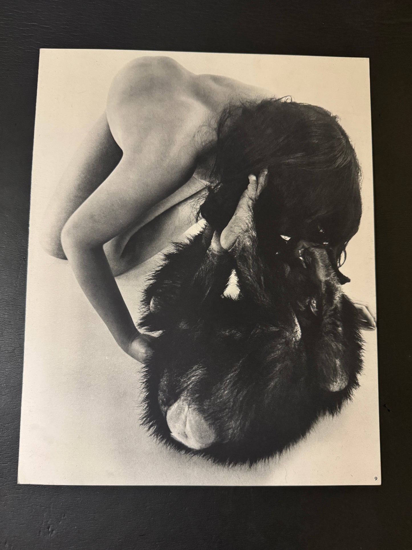 Beast love : The Third Venus