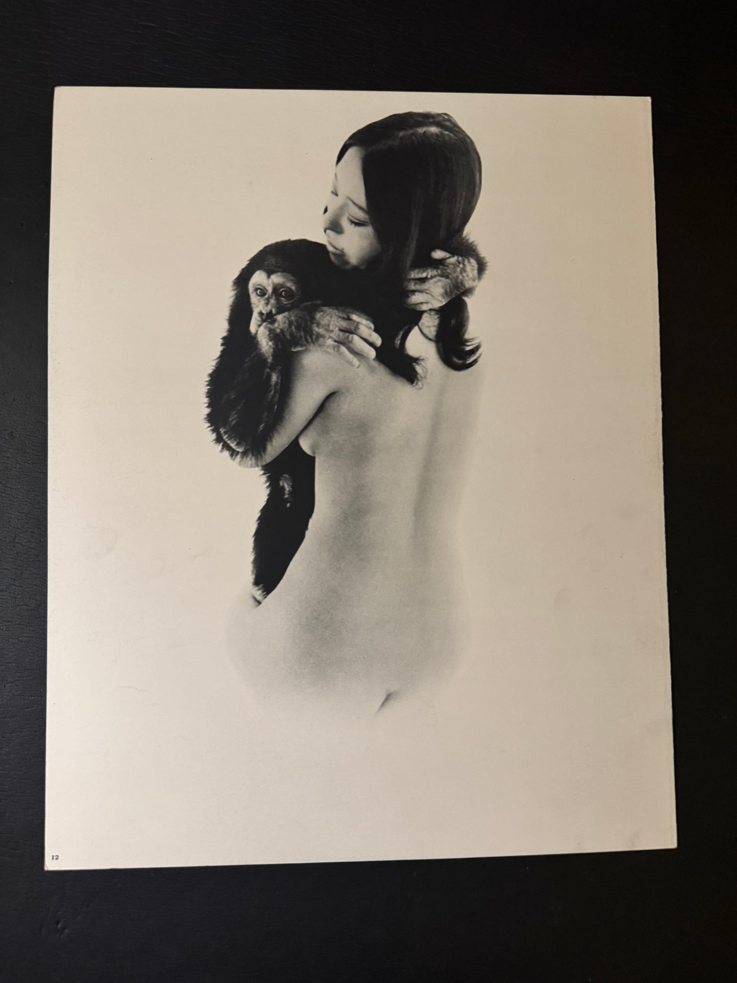 Beast love : The Third Venus