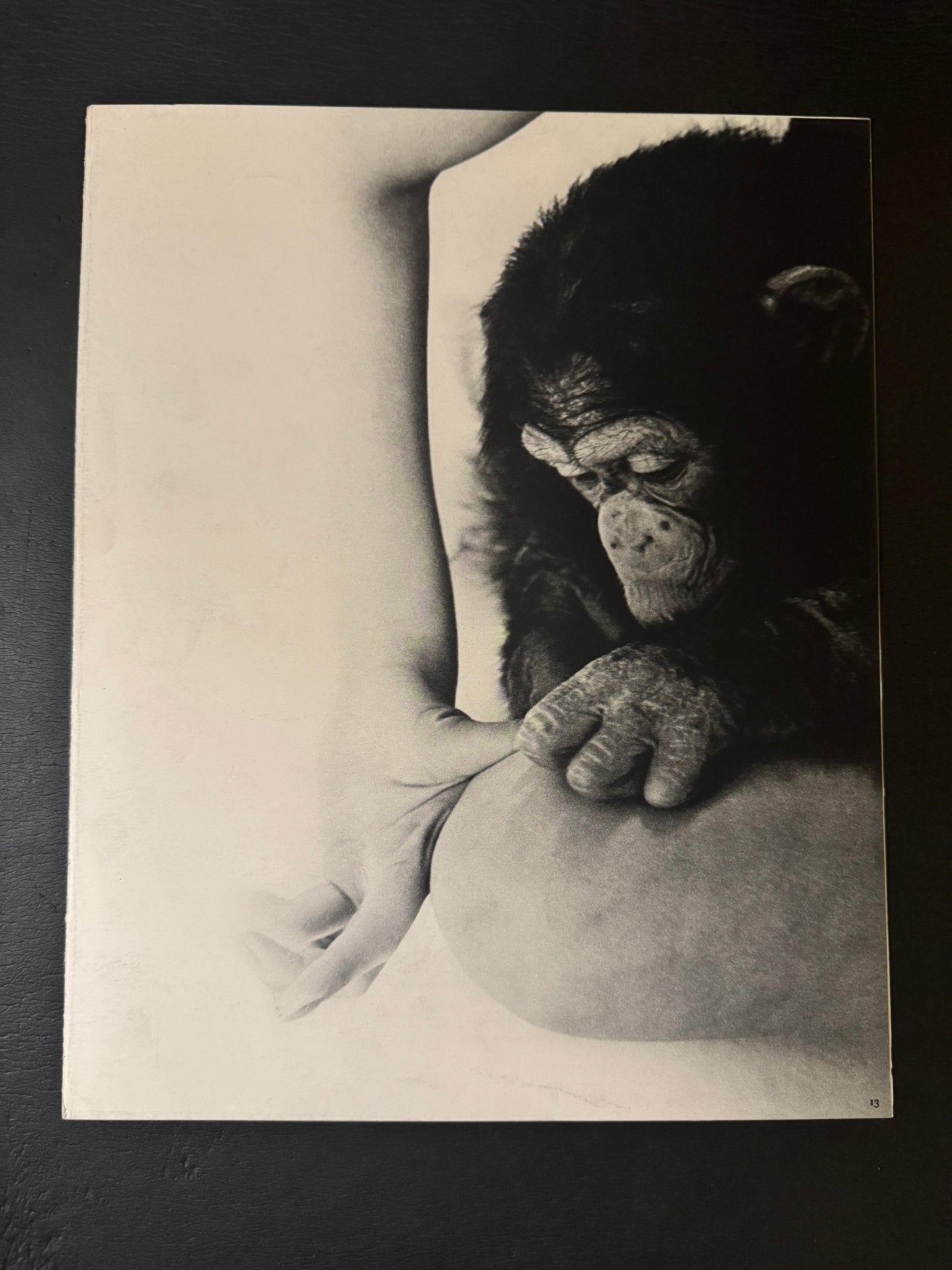 Beast love : The Third Venus