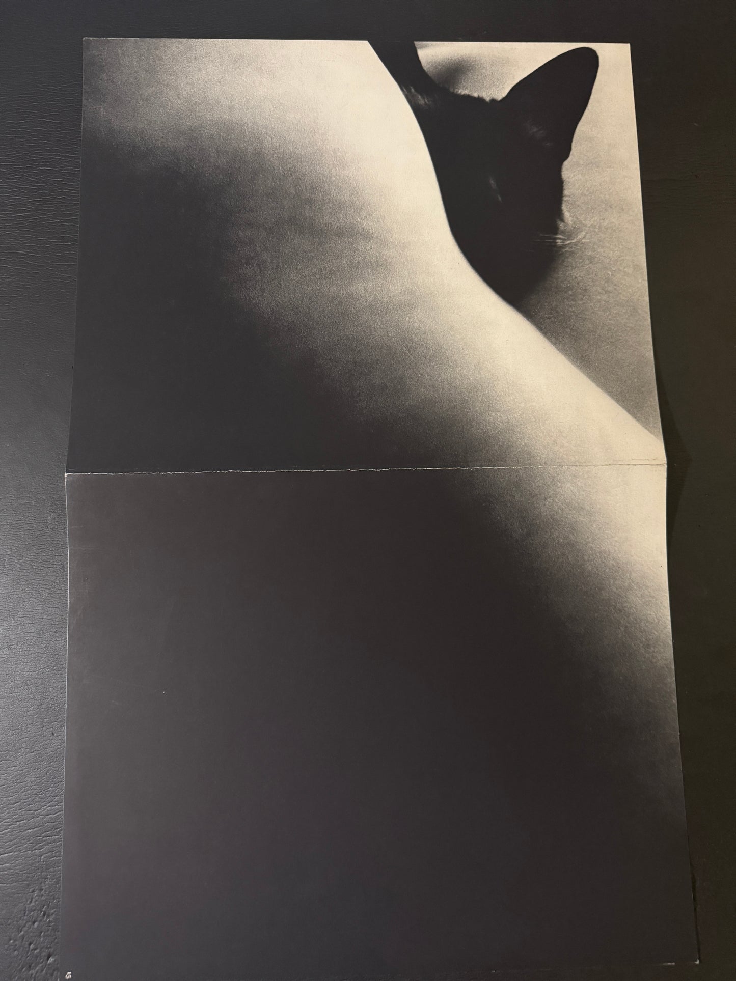 Beast love : The Third Venus