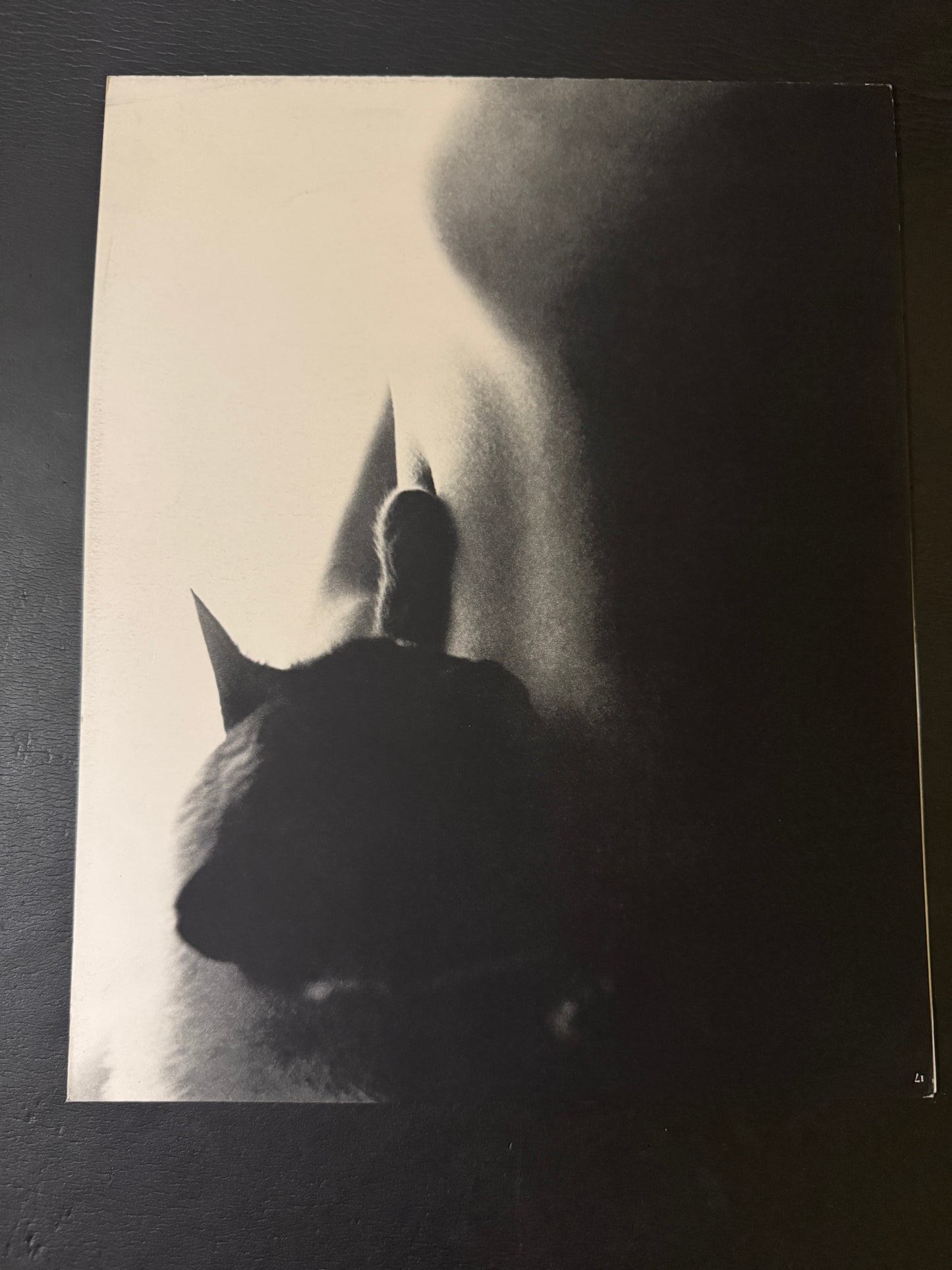 Beast love : The Third Venus
