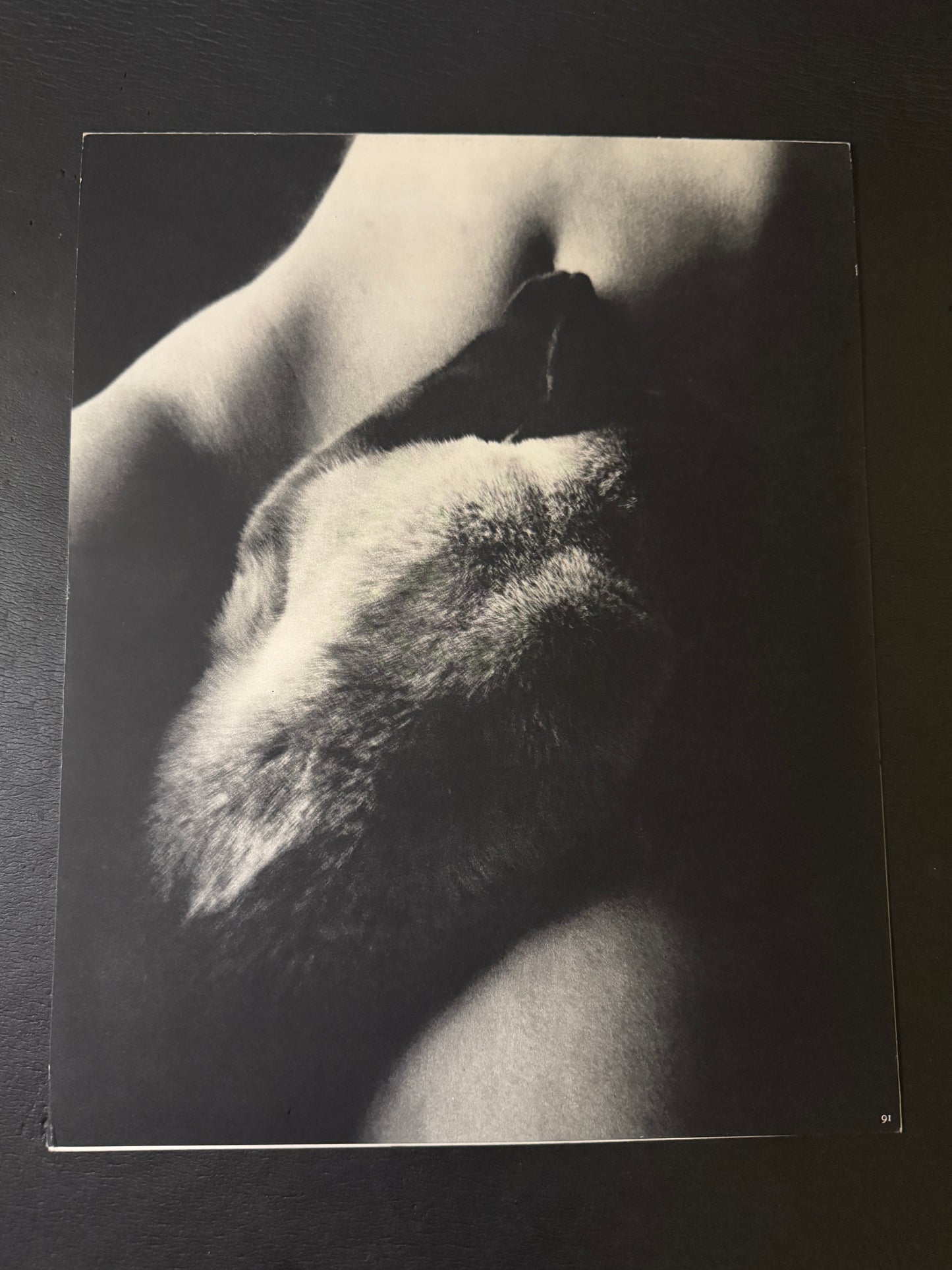 Beast love : The Third Venus