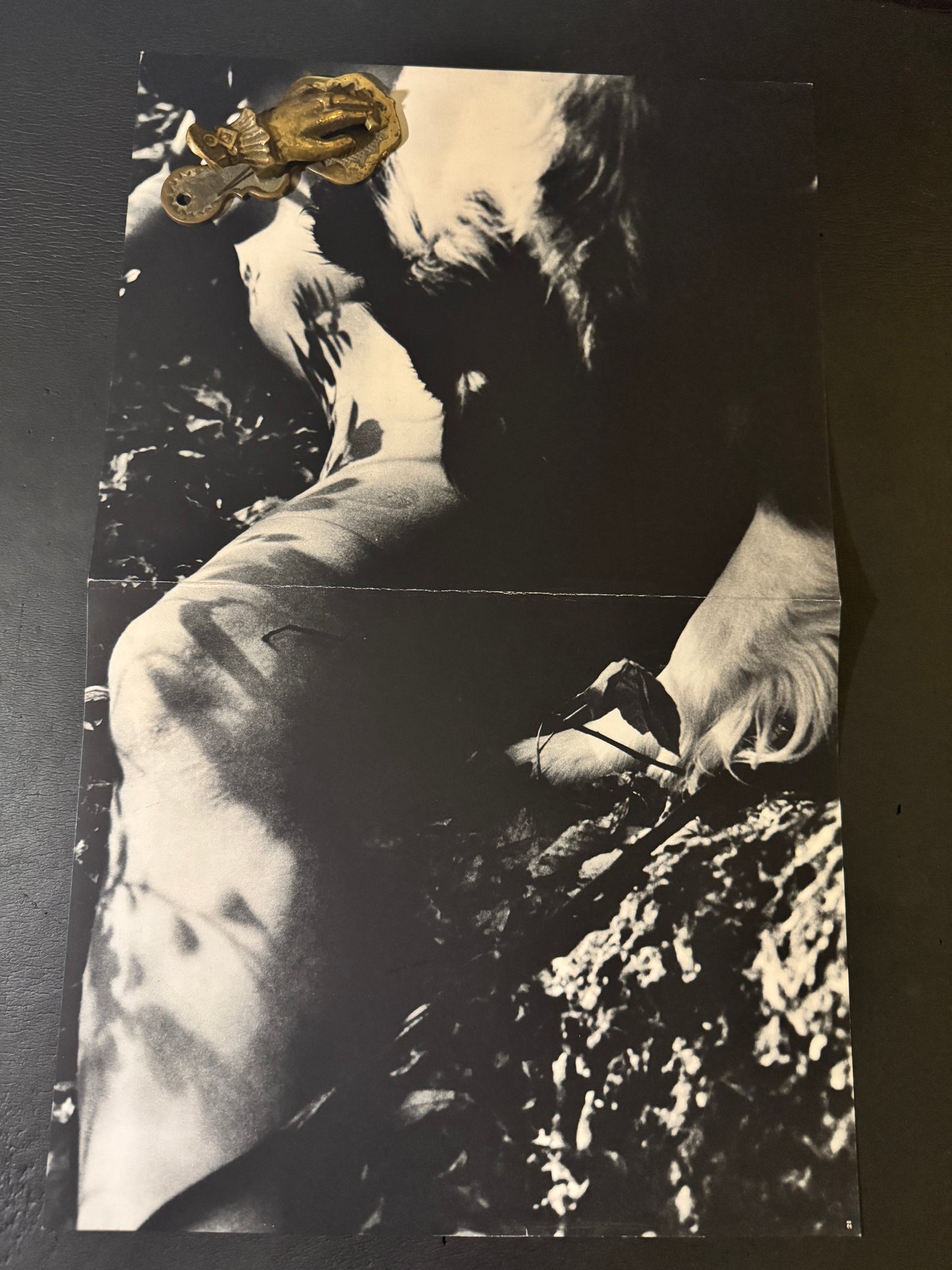 Beast love : The Third Venus
