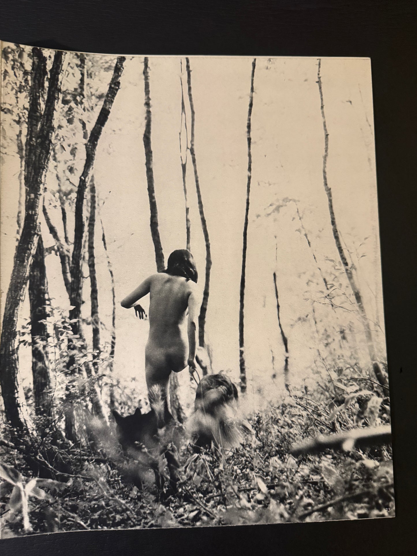 Beast love : The Third Venus